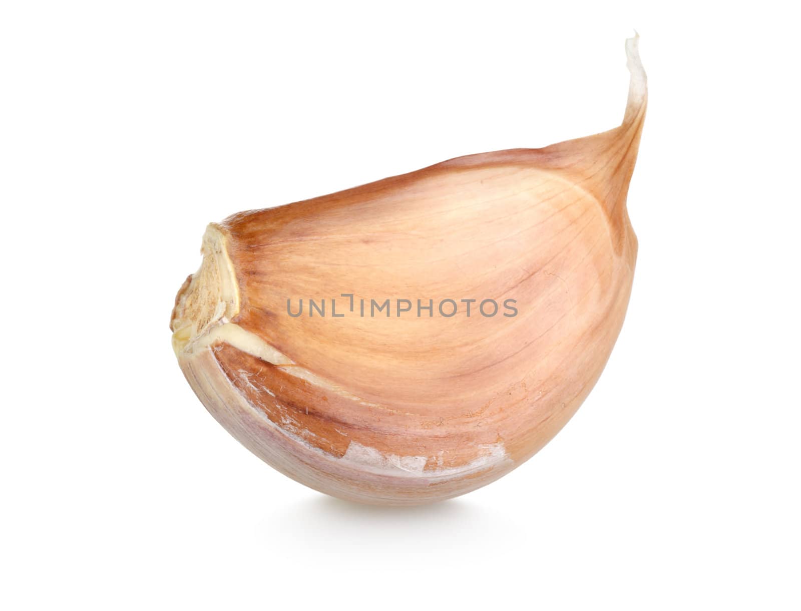 Cloves of garlic isolated on white background