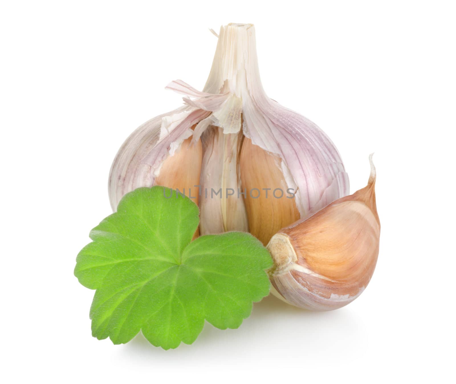 Raw garlic by Givaga