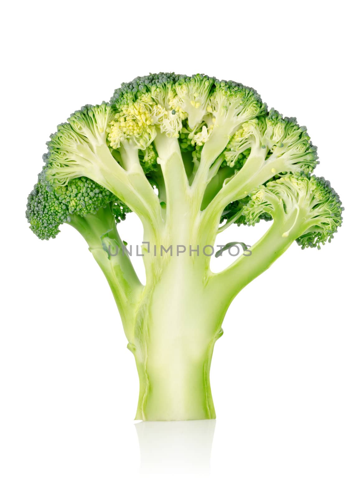 Ripe broccoli isolated by Givaga