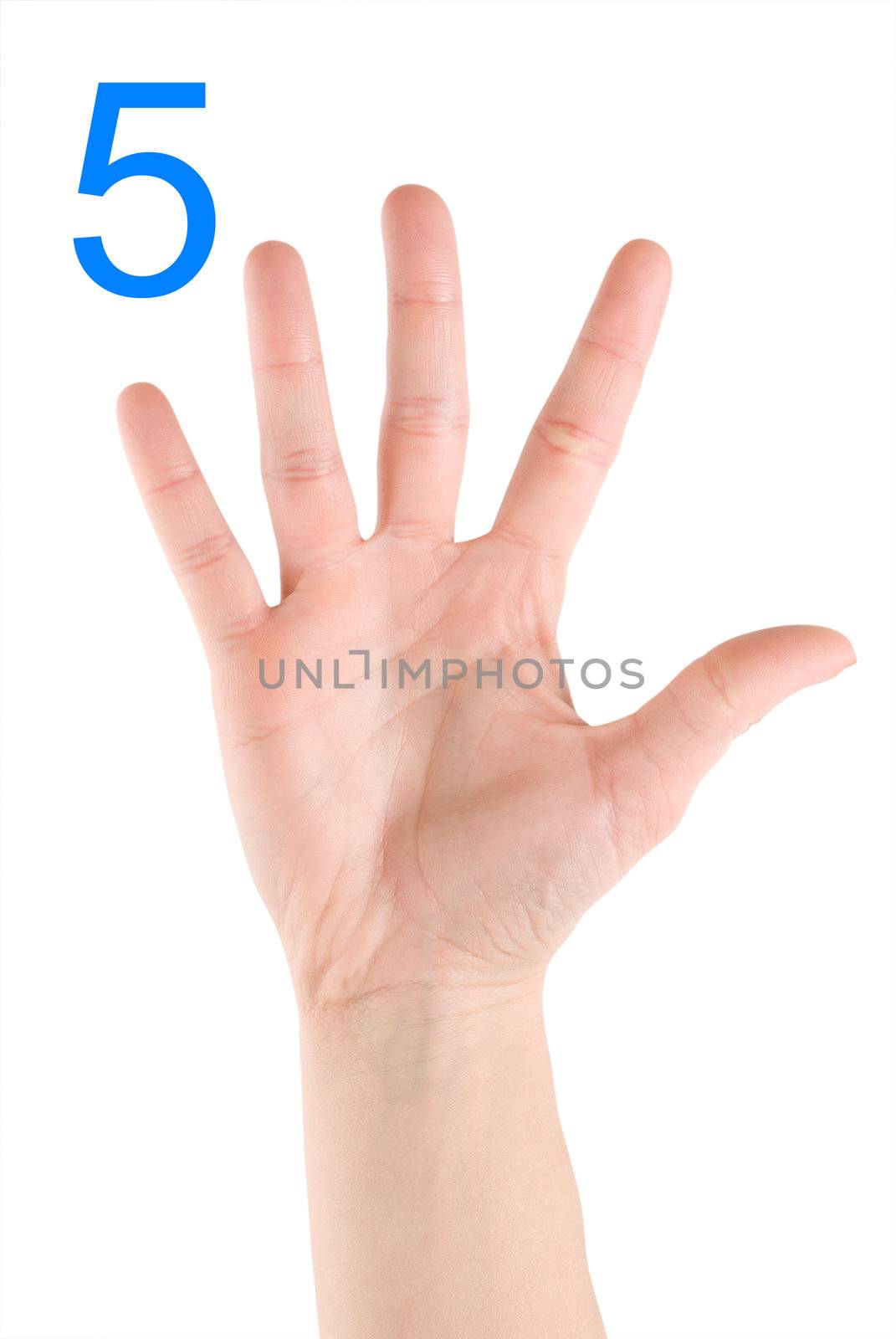 Hand showing number five isolated on a white background