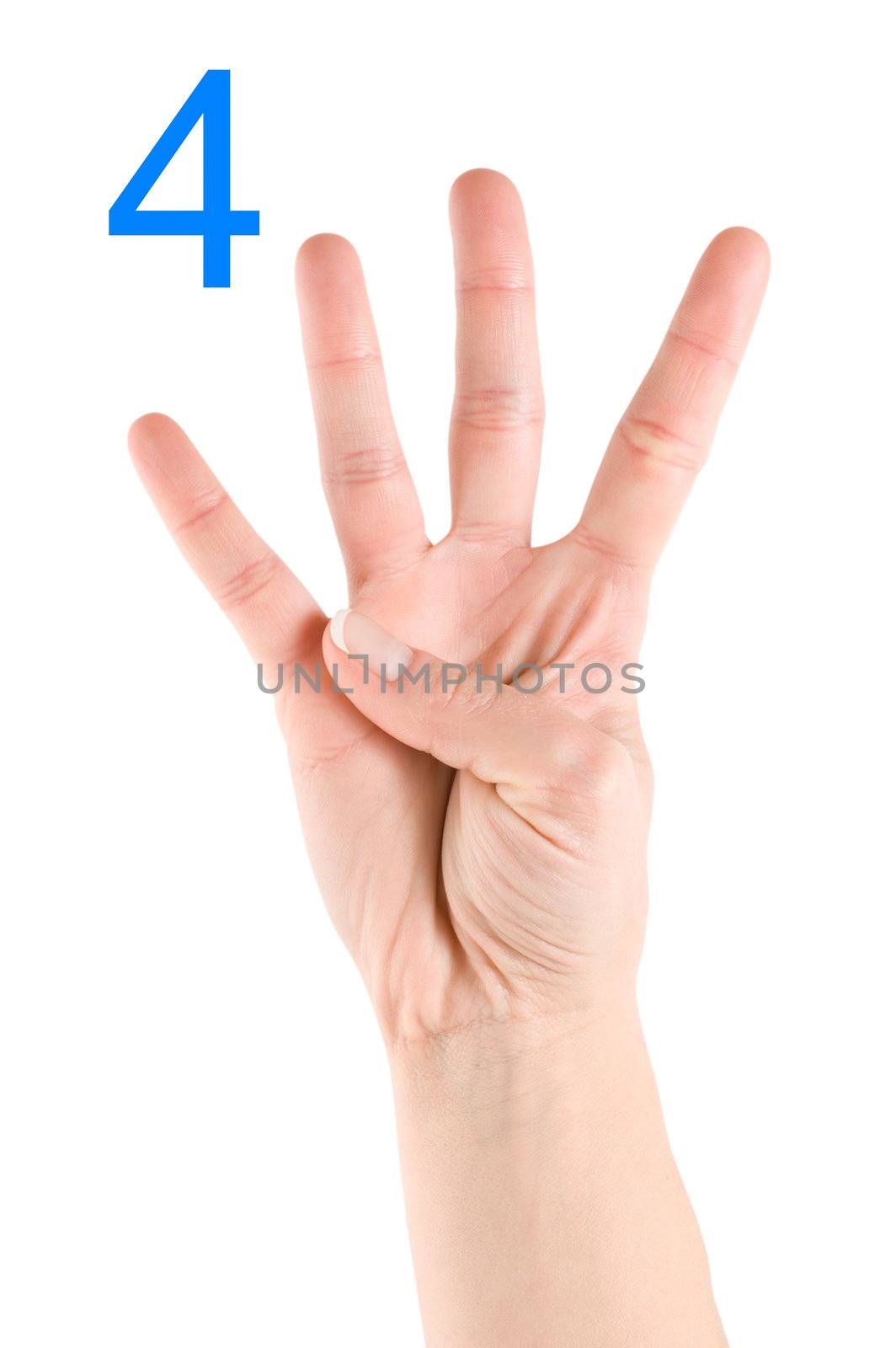 Hand showing number four isolated on a white background