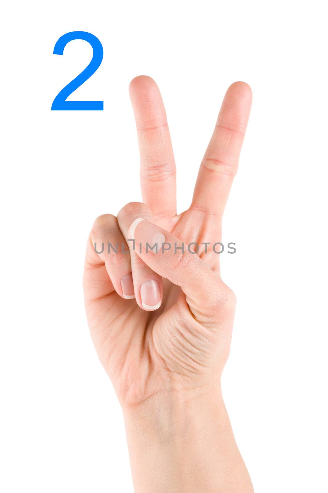 Hand showing number two isolated on a white background