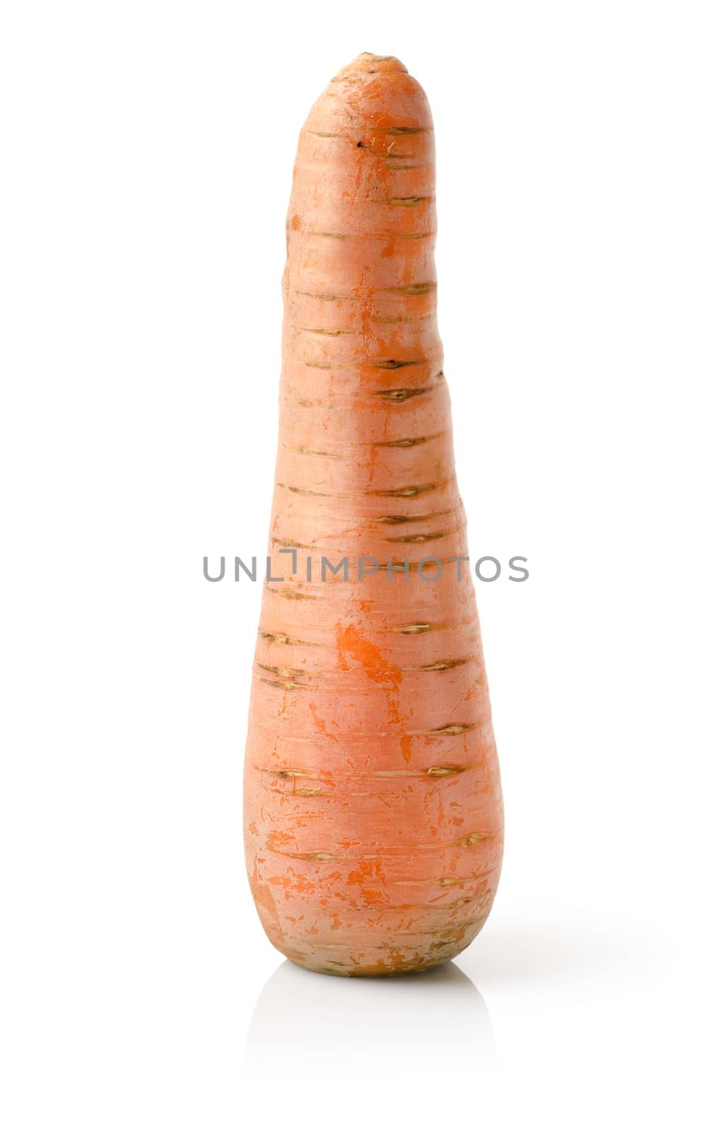 Fresh carrot isolated on a white background