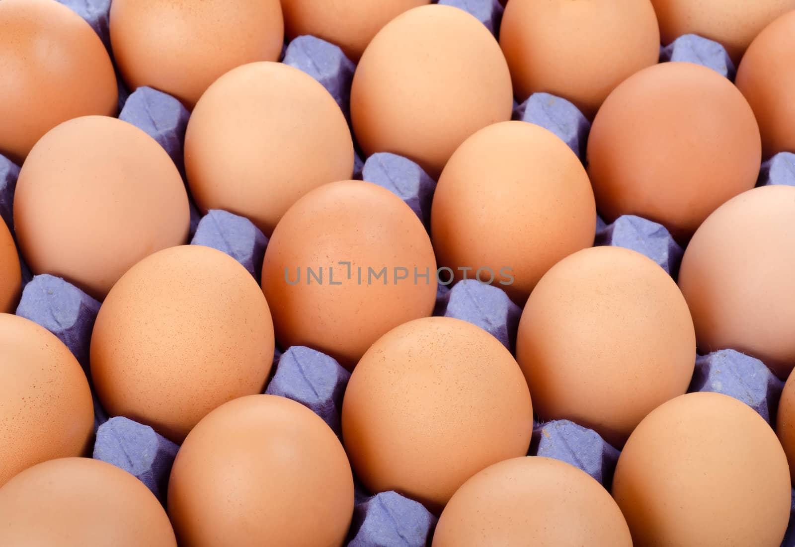 Tray of eggs in blue cardboard packing