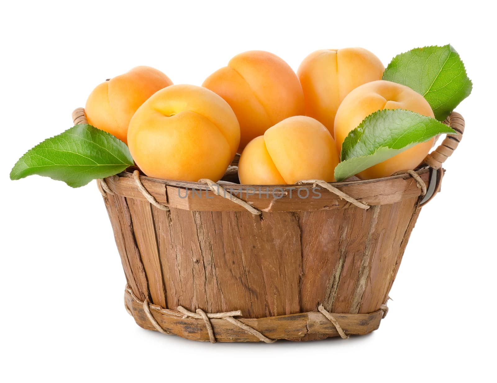 Apricots in a basket isolated on a white background