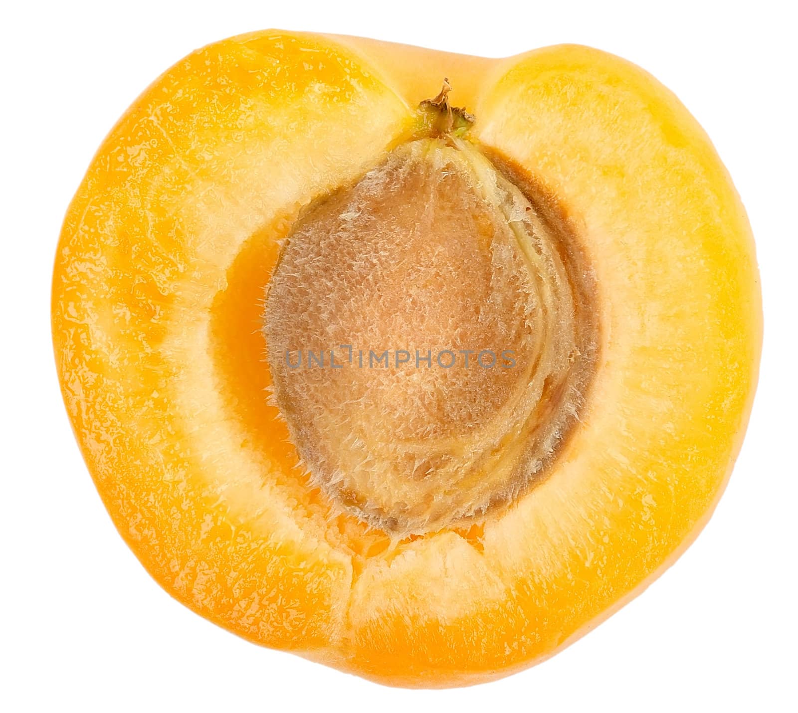 One ripe apricot sectioned by knife on white background