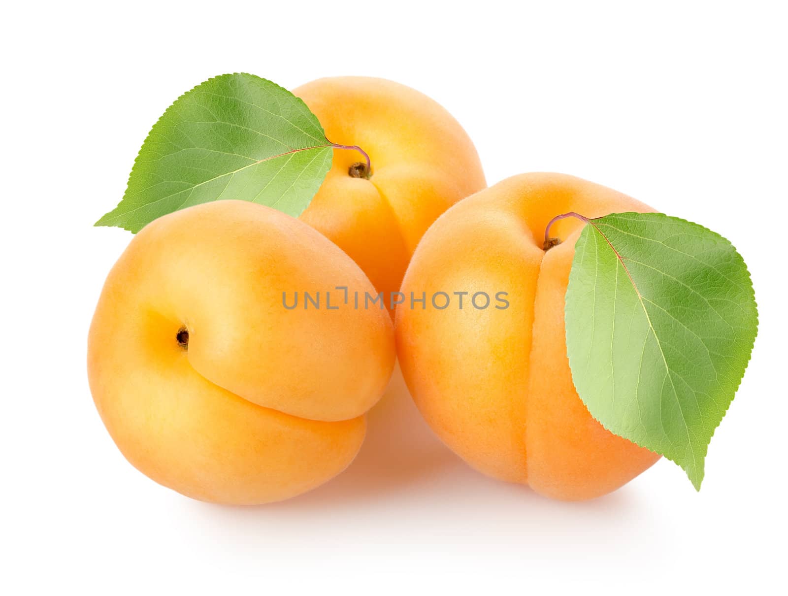 Apricots with leafs isolated on a white background