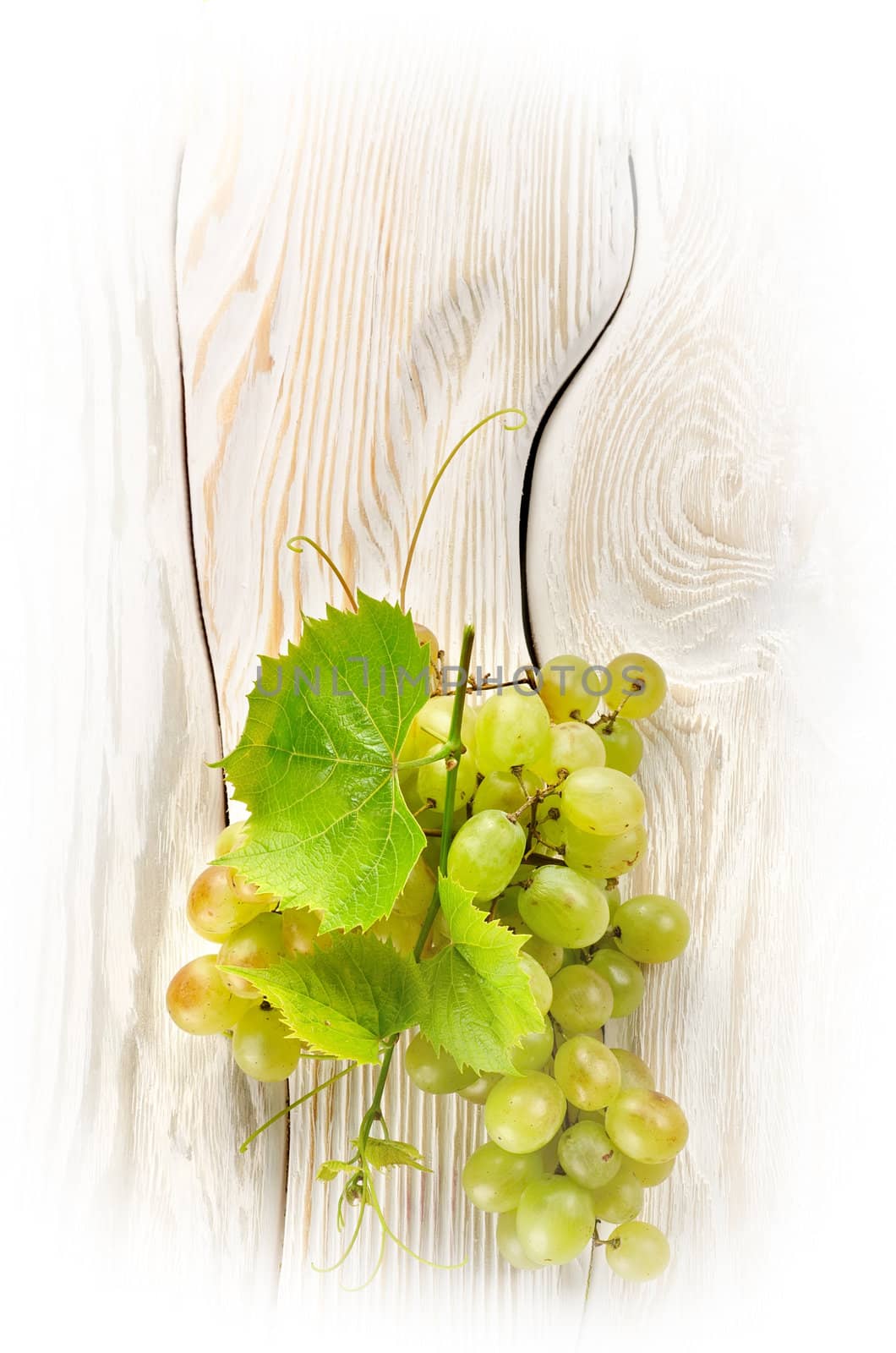 Green grapes on the table by Givaga