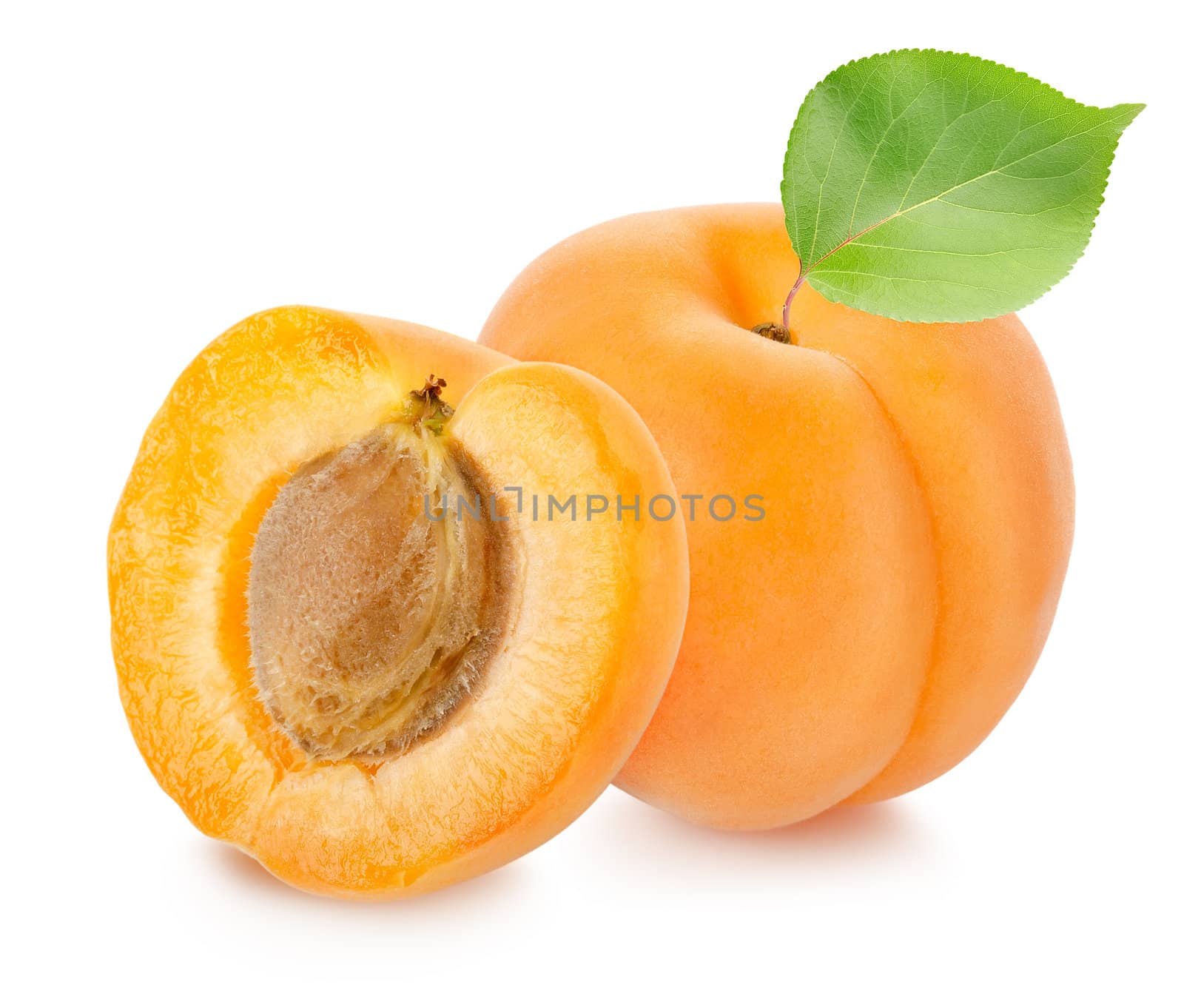 Apricots with leaf isolated on a white background