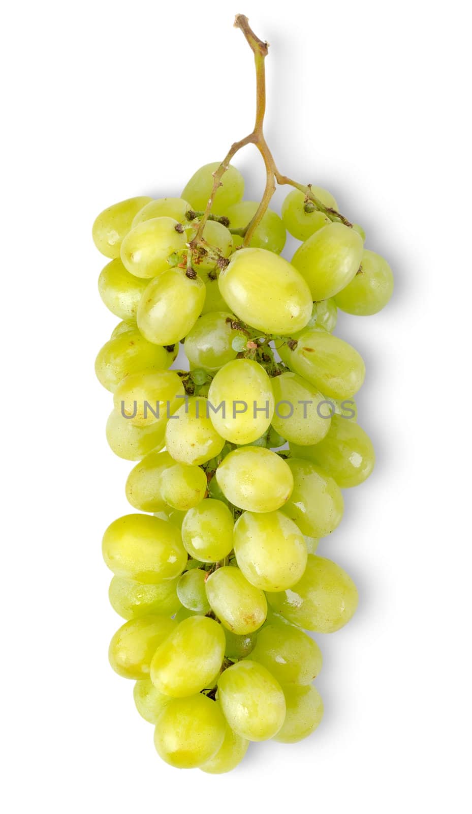 Bunch of green grapes isolated on white background