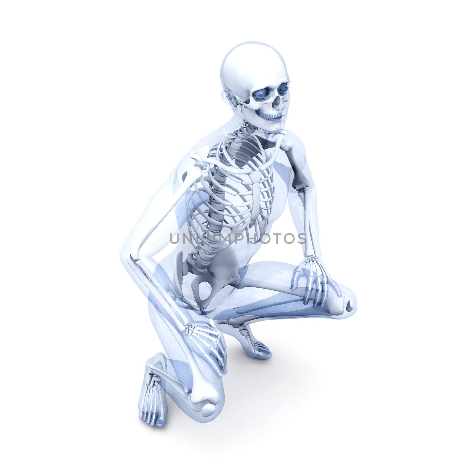 Anatomy Visualization by Spectral