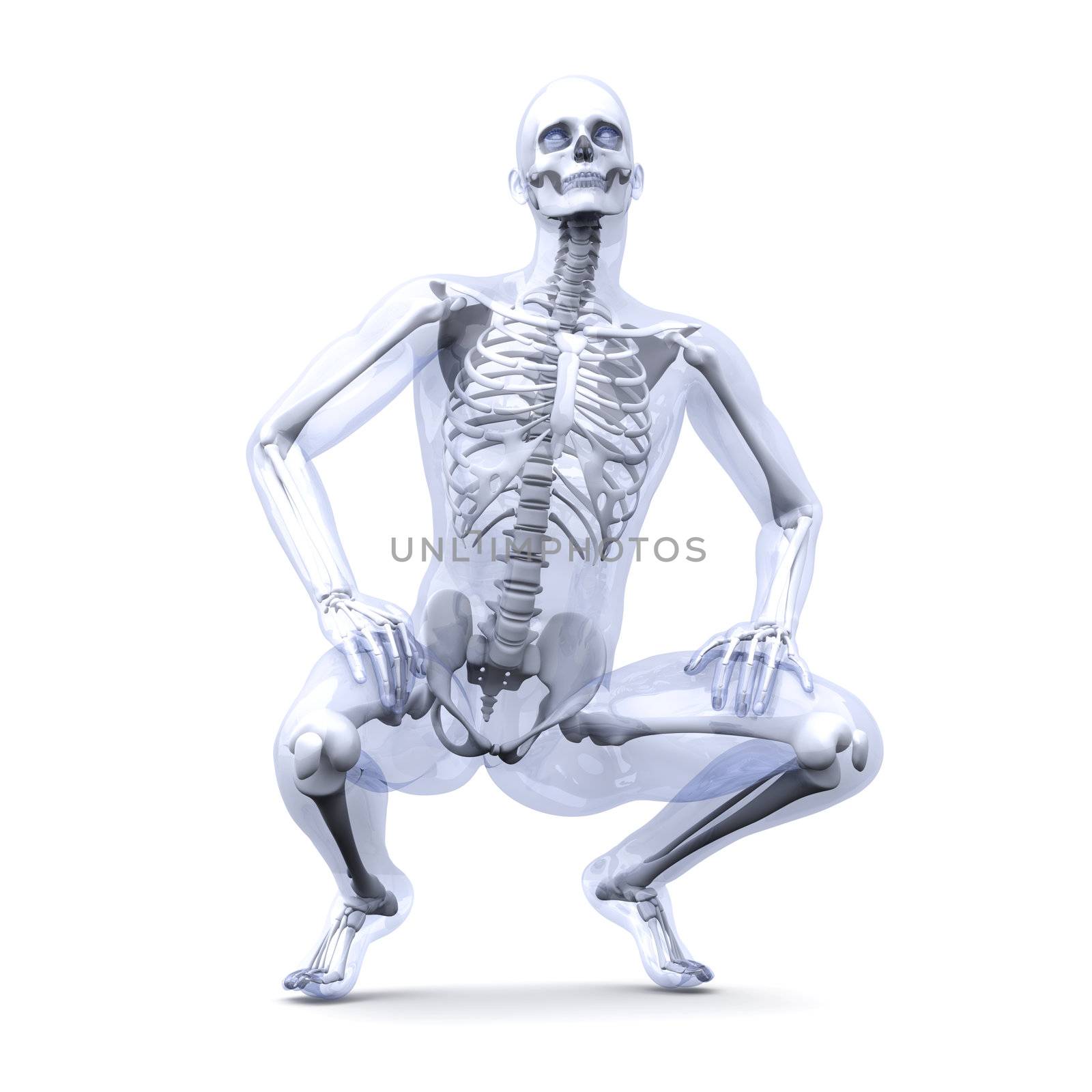 A medical visualization of human anatomy. 3D rendered Illustration. Isolated on white.