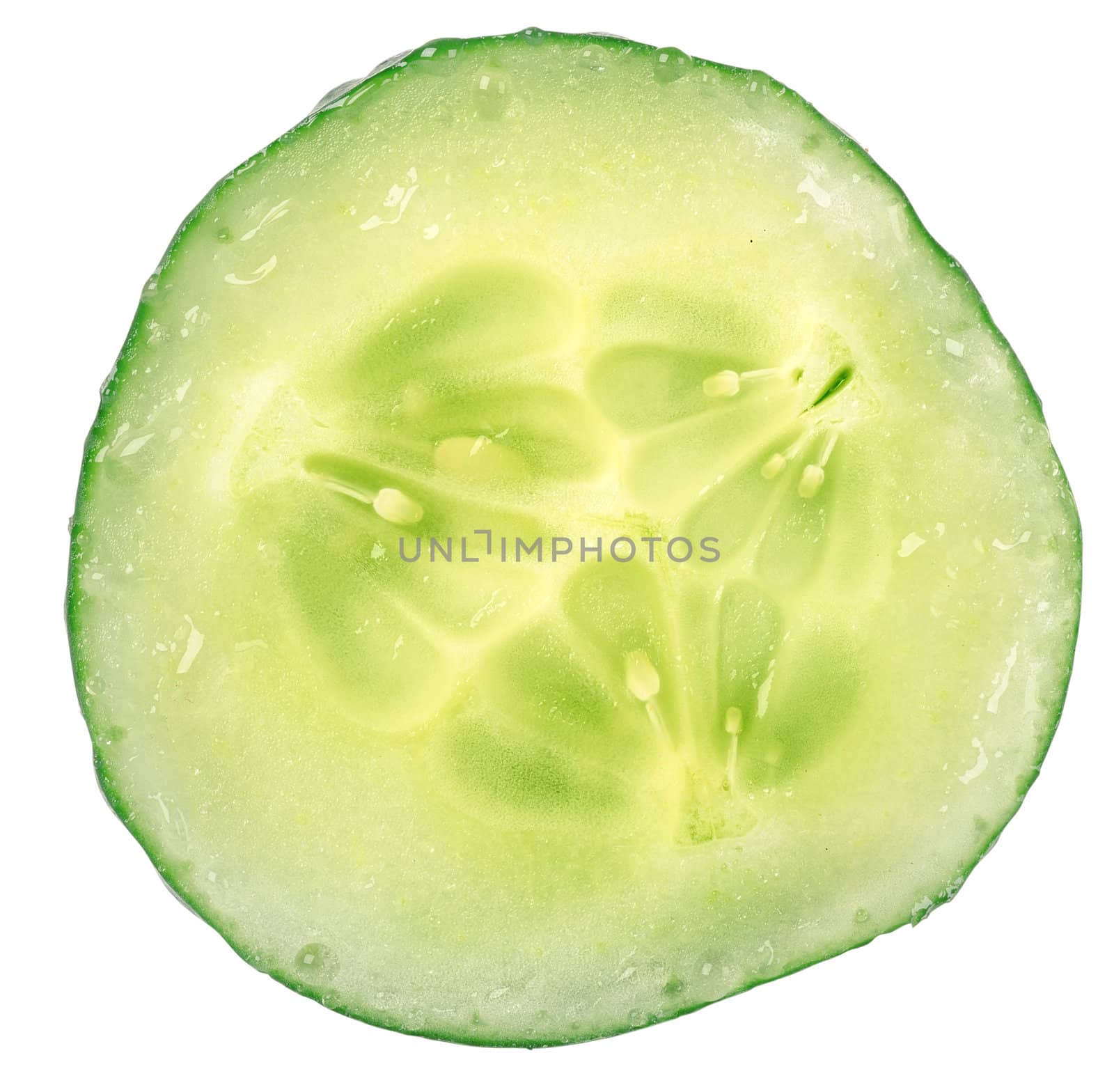 Cucumber circle portion by Givaga