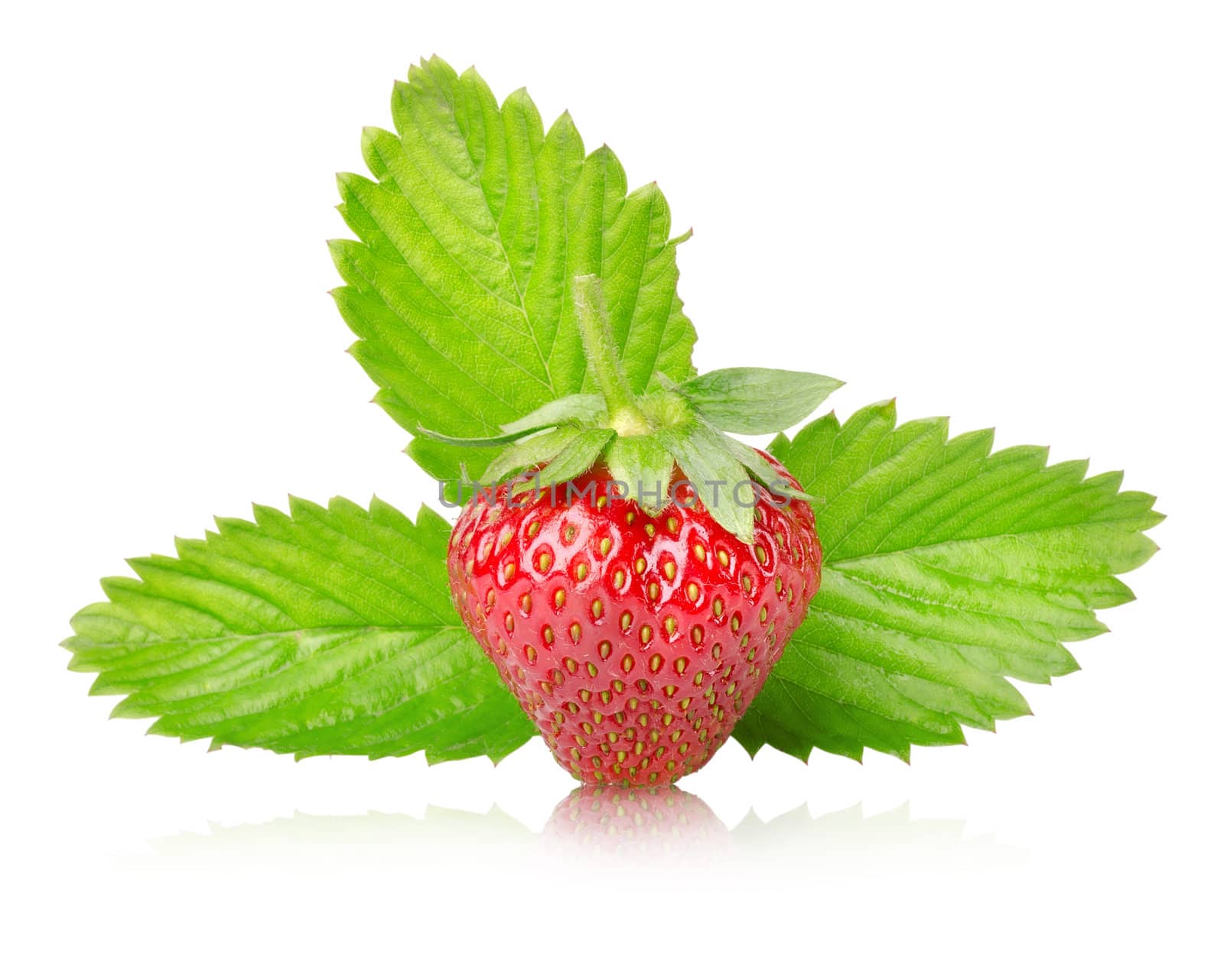 Ripe strawberries with leaves isolated by Givaga