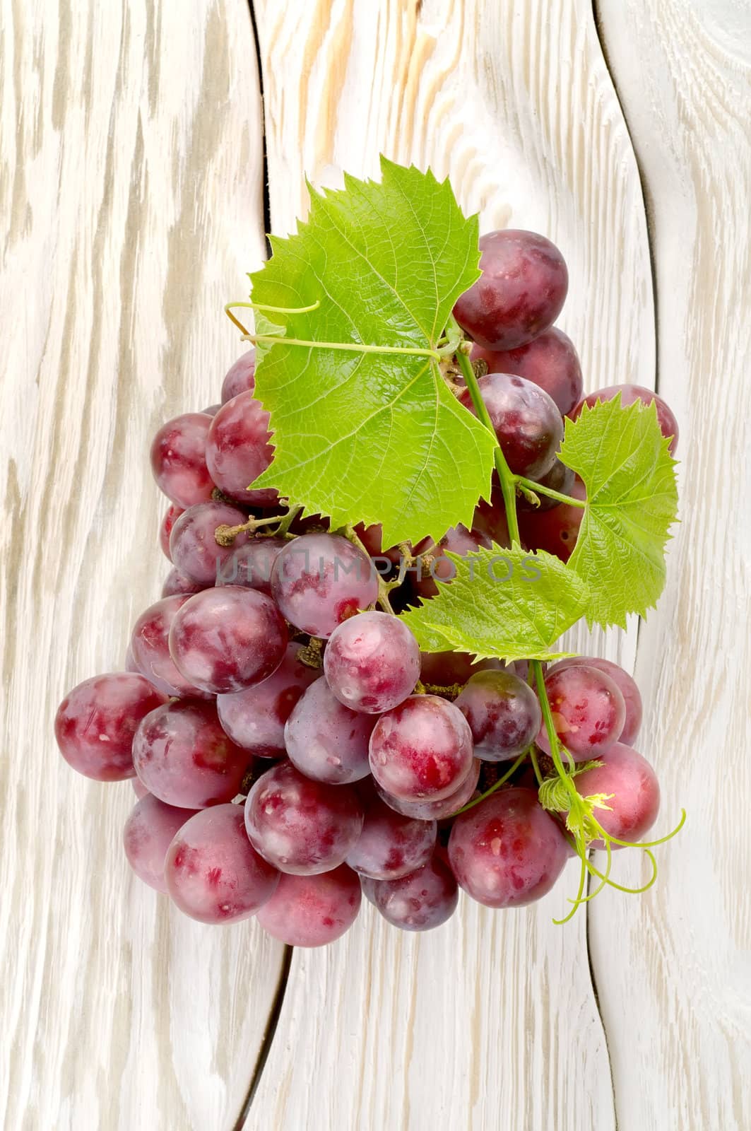 Blue grapes on a white wooden background