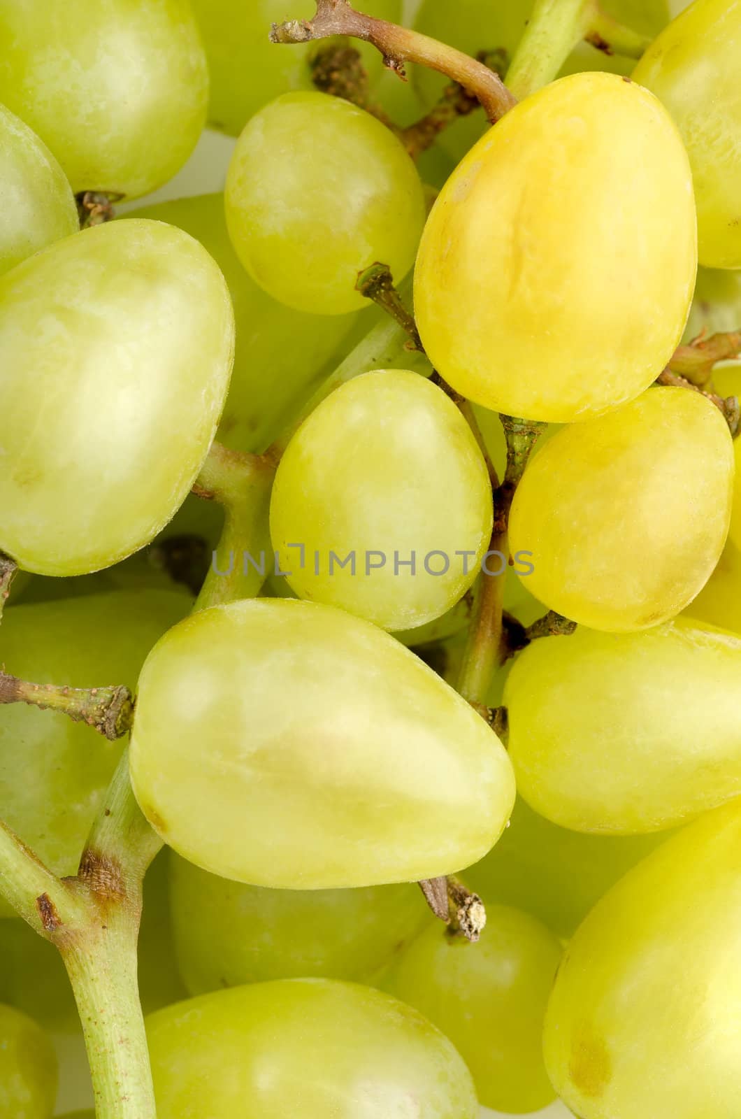 Background of green grapes