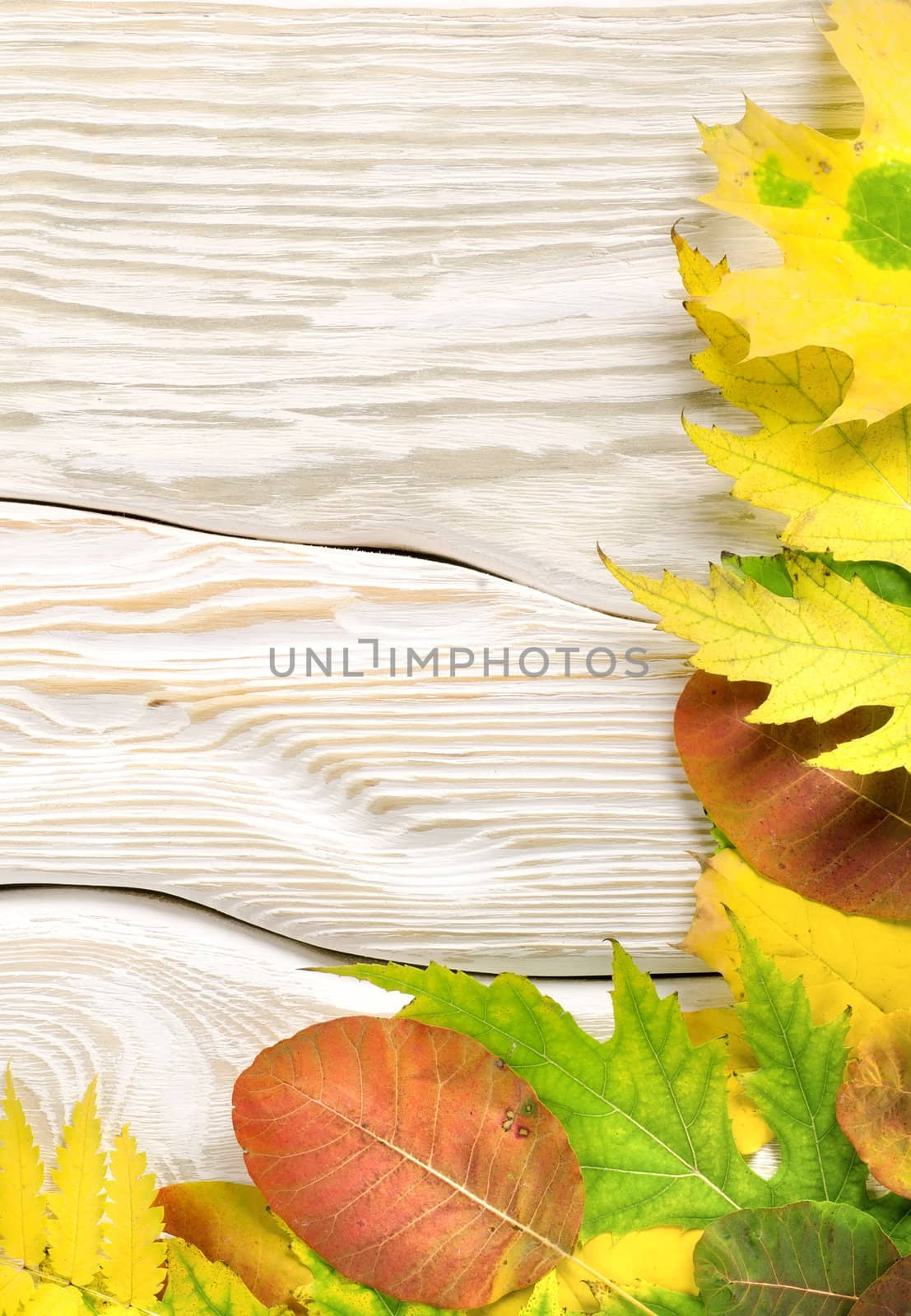 Autumn composition on a white wooden table