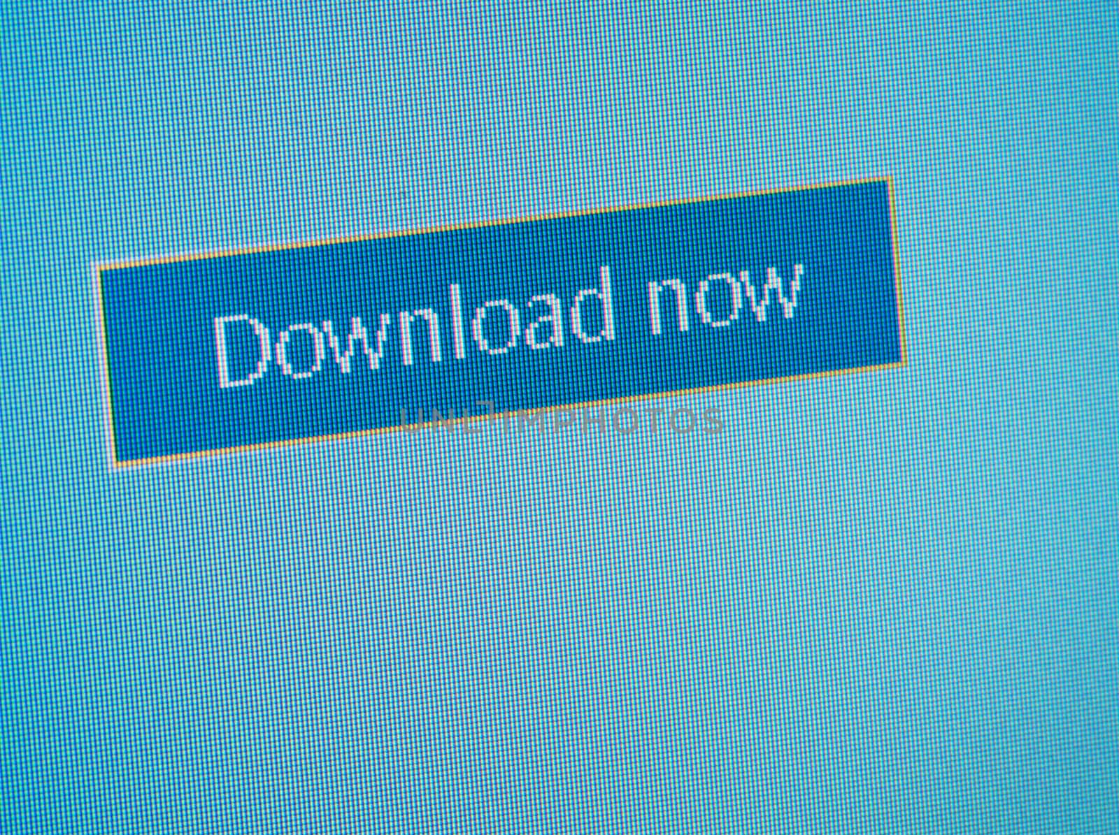 Download now button on the computer screen close-up.