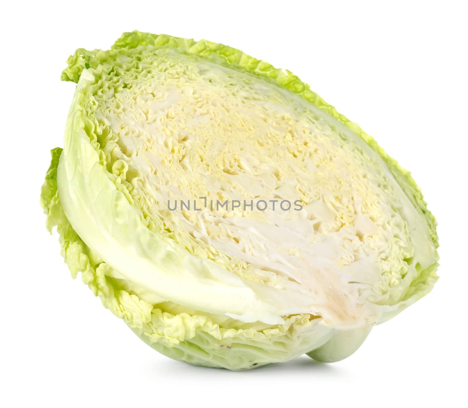 Cross section of savoy cabbage by Givaga