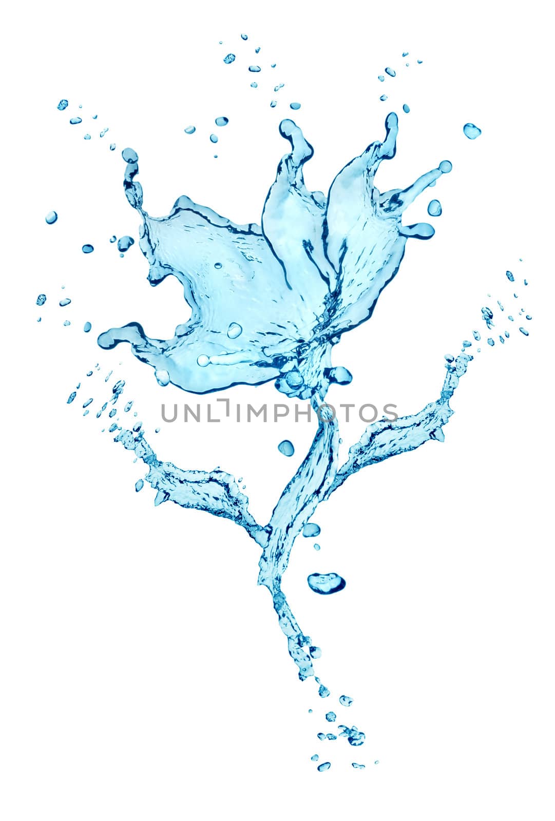 Flower made of water splashes isolated on white background