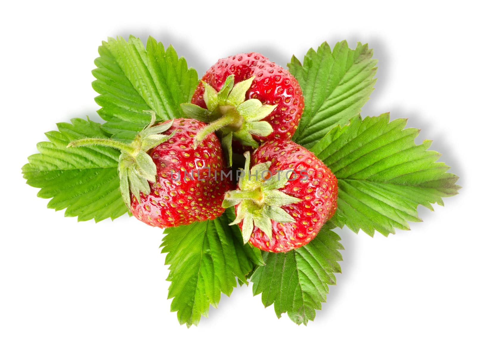 Ripe strawberries with leaves isolated on white background