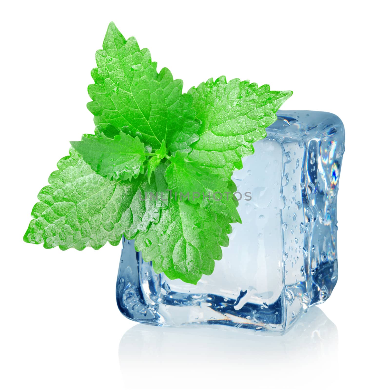 Ice cube and mint by Givaga