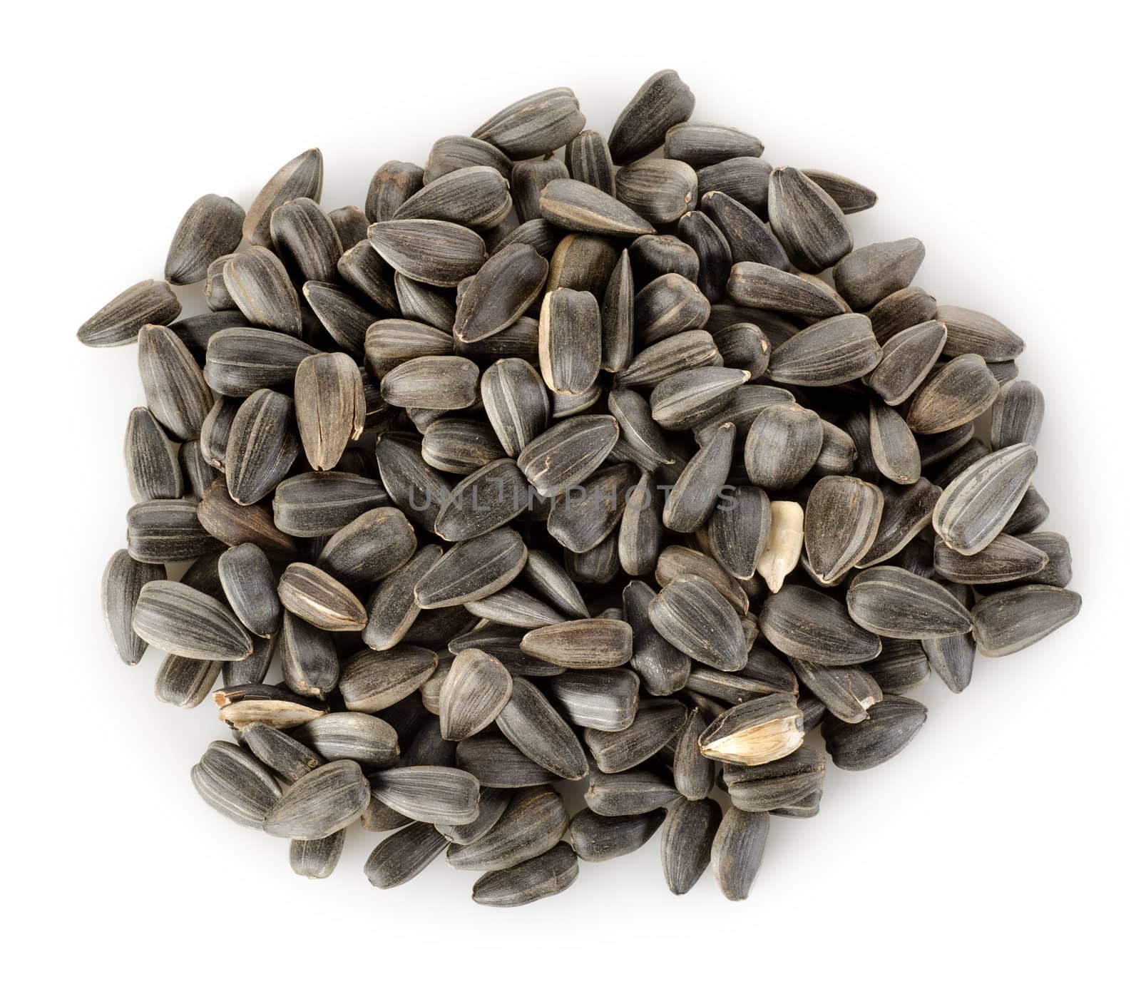 Sunflower seeds isolated by Givaga