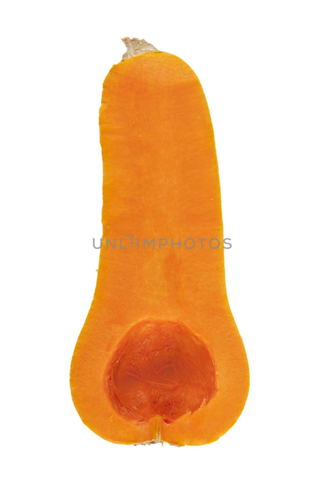 Cross section of a butternut squash with seeds removed, isolated on a white background.