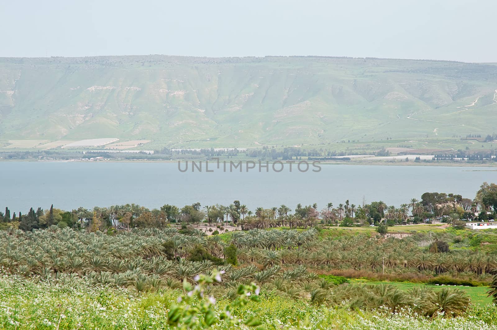 View of the sea of Galilee (Kineret lake) , Israel