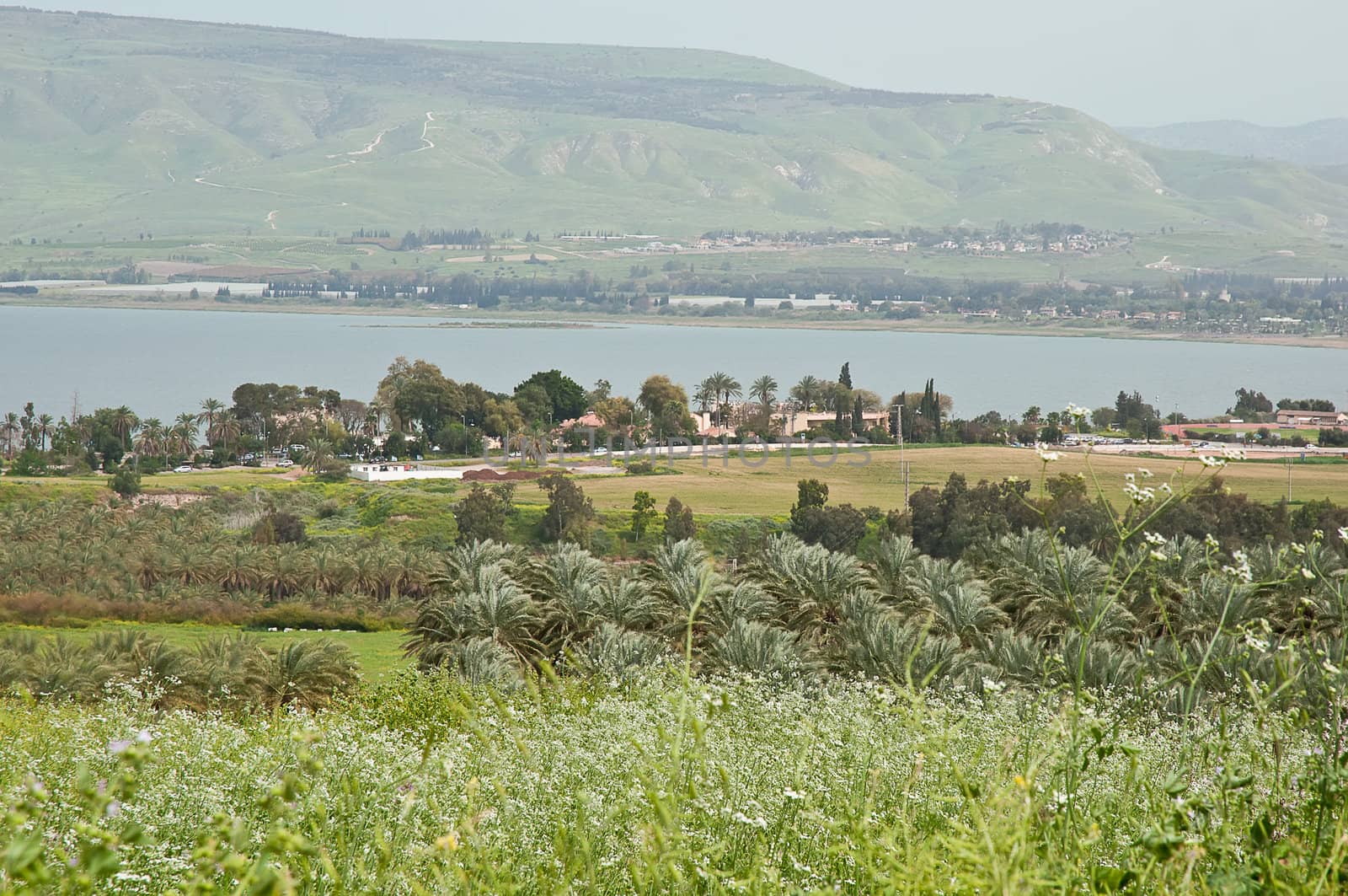 View of the sea of Galilee (Kineret lake) , Israel