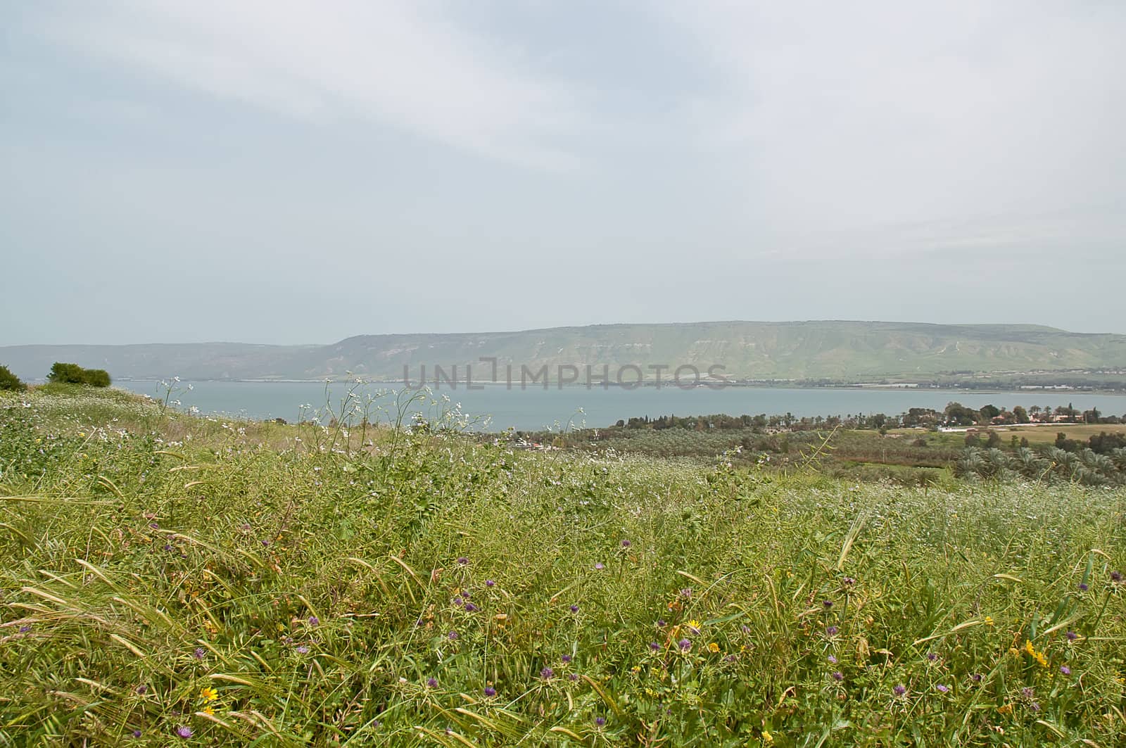 View of the sea of Galilee (Kineret lake) , Israel