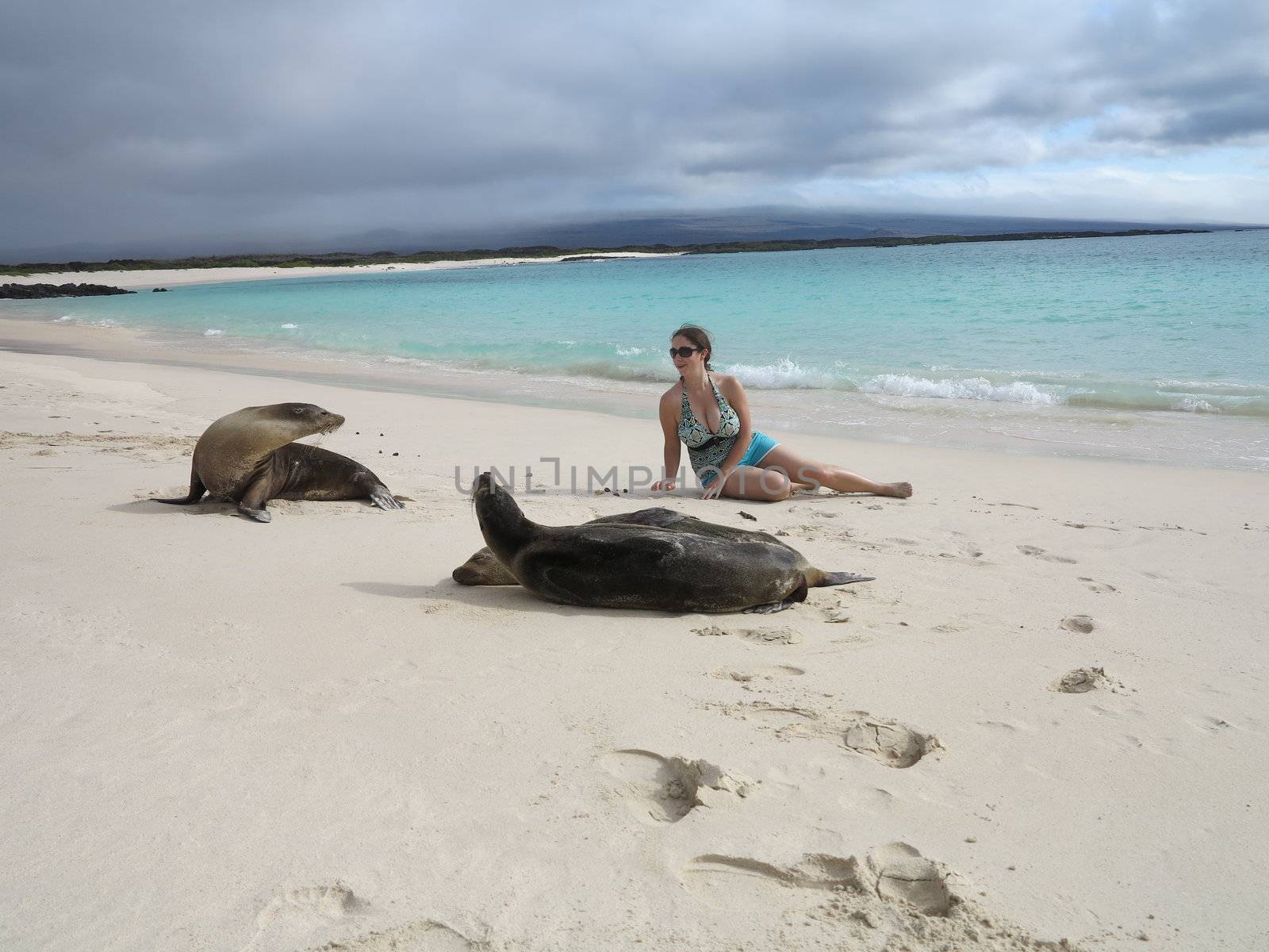 Woman tourist lays among seals on beach by steheap