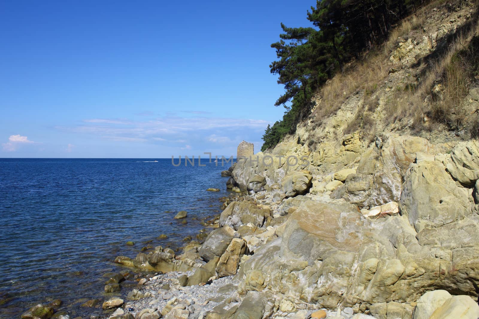 Stones on the sea coast.