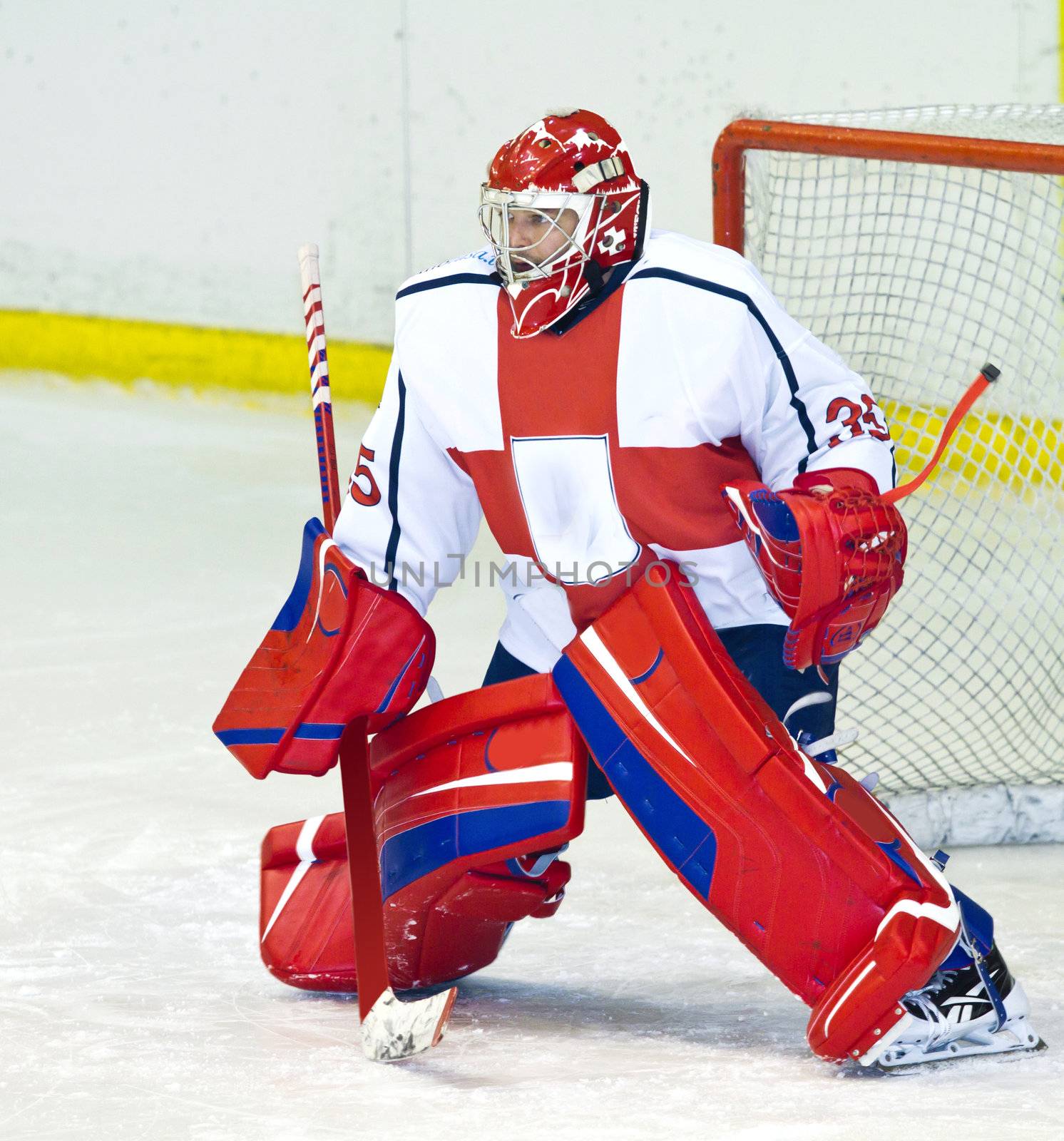 hockey goalie