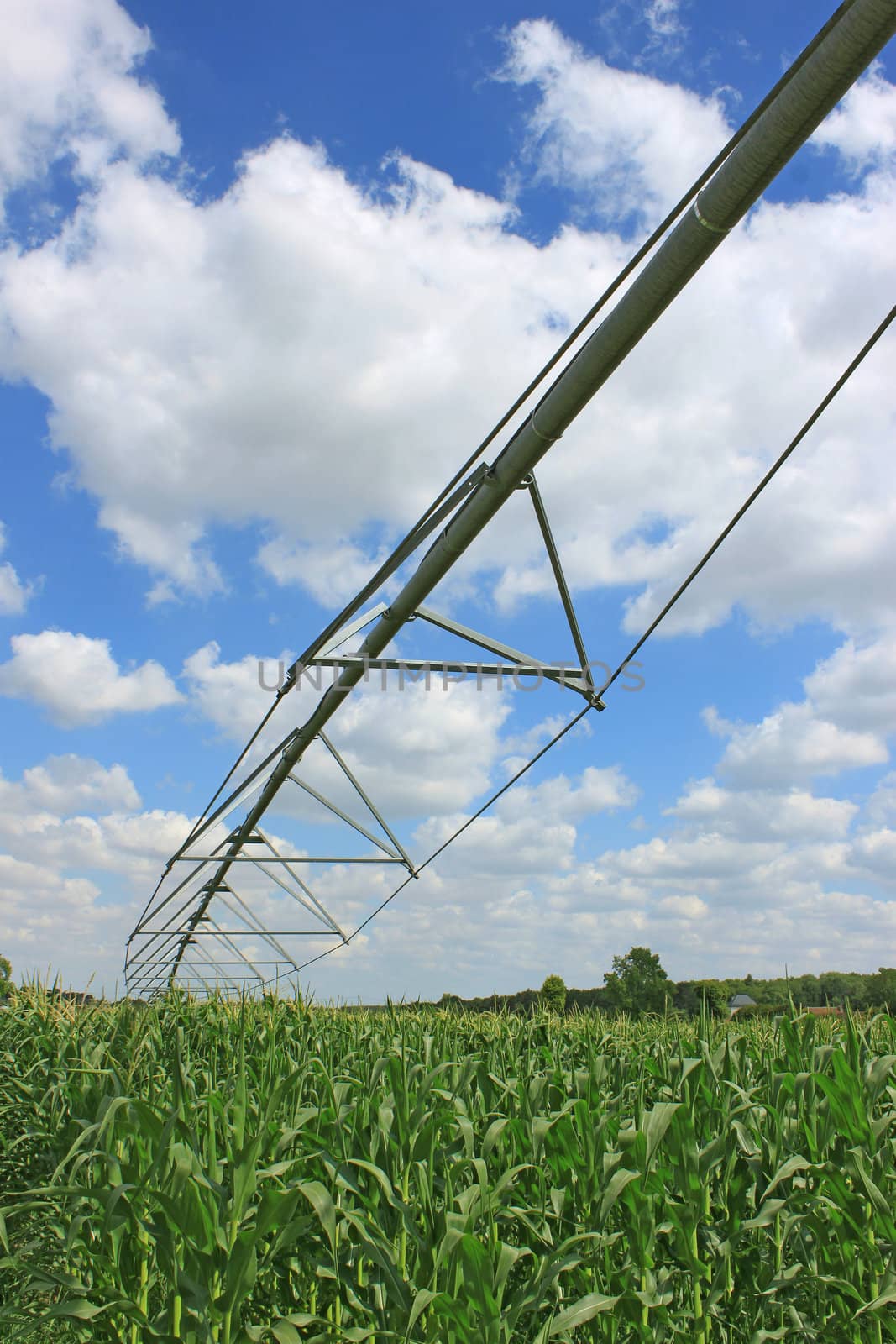 an irrigation system for agriculture in a grain field