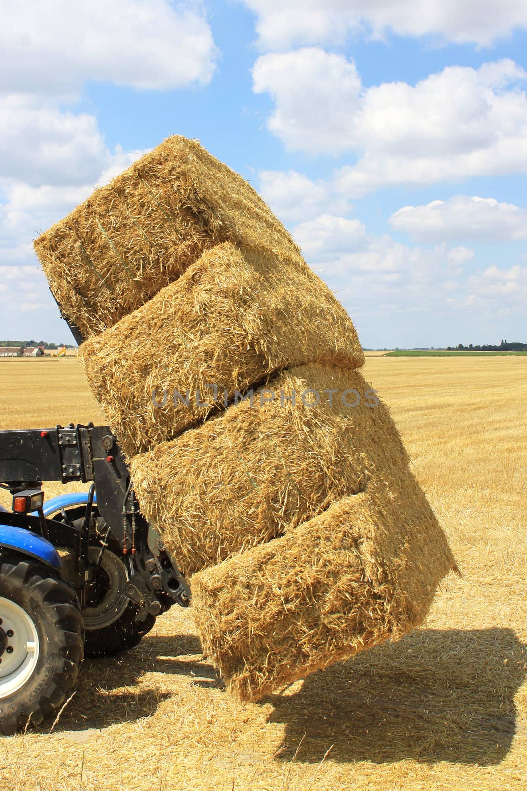 many haystacks piled on a truck in a field of wheat