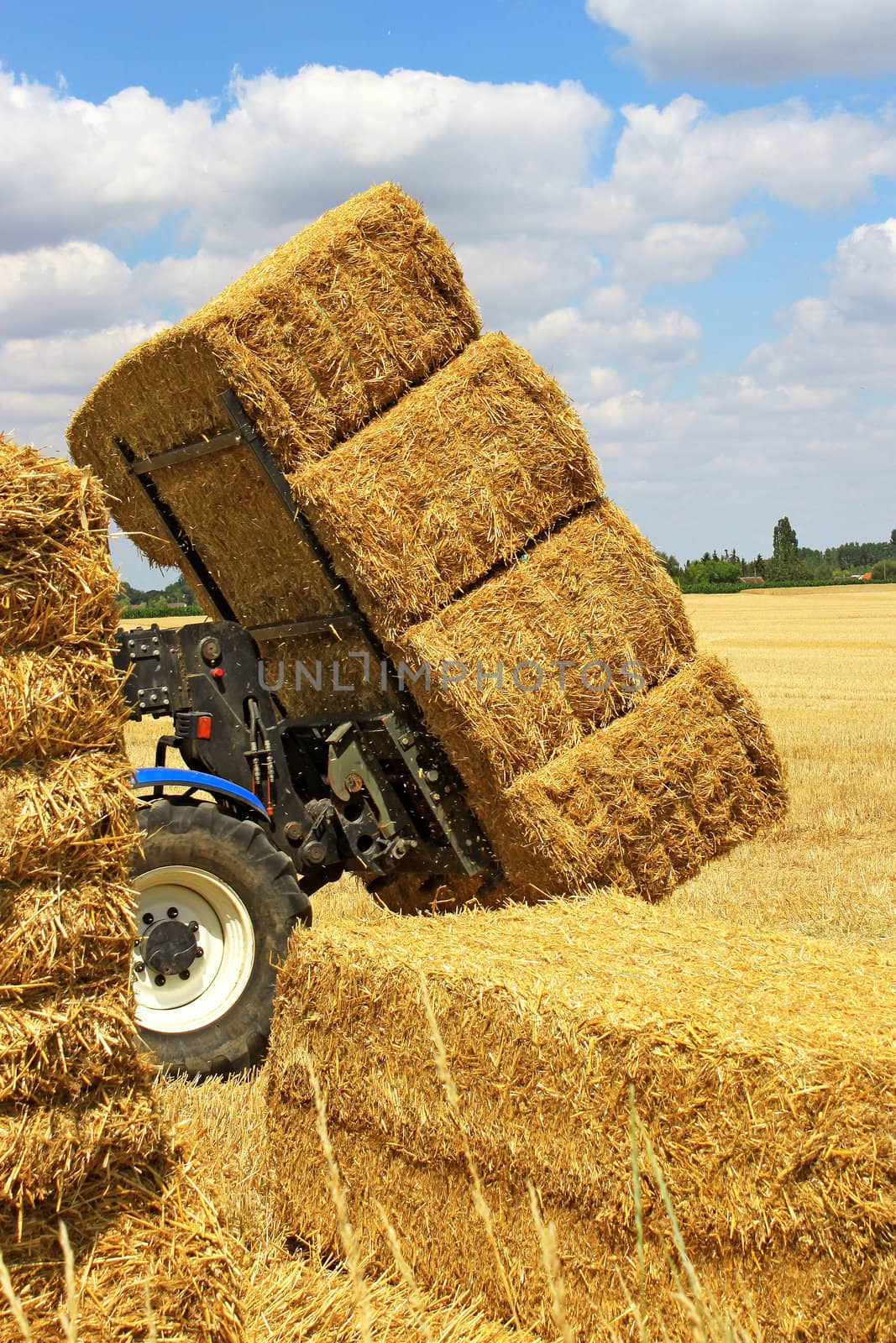 many haystacks piled on a truck in a field of wheat