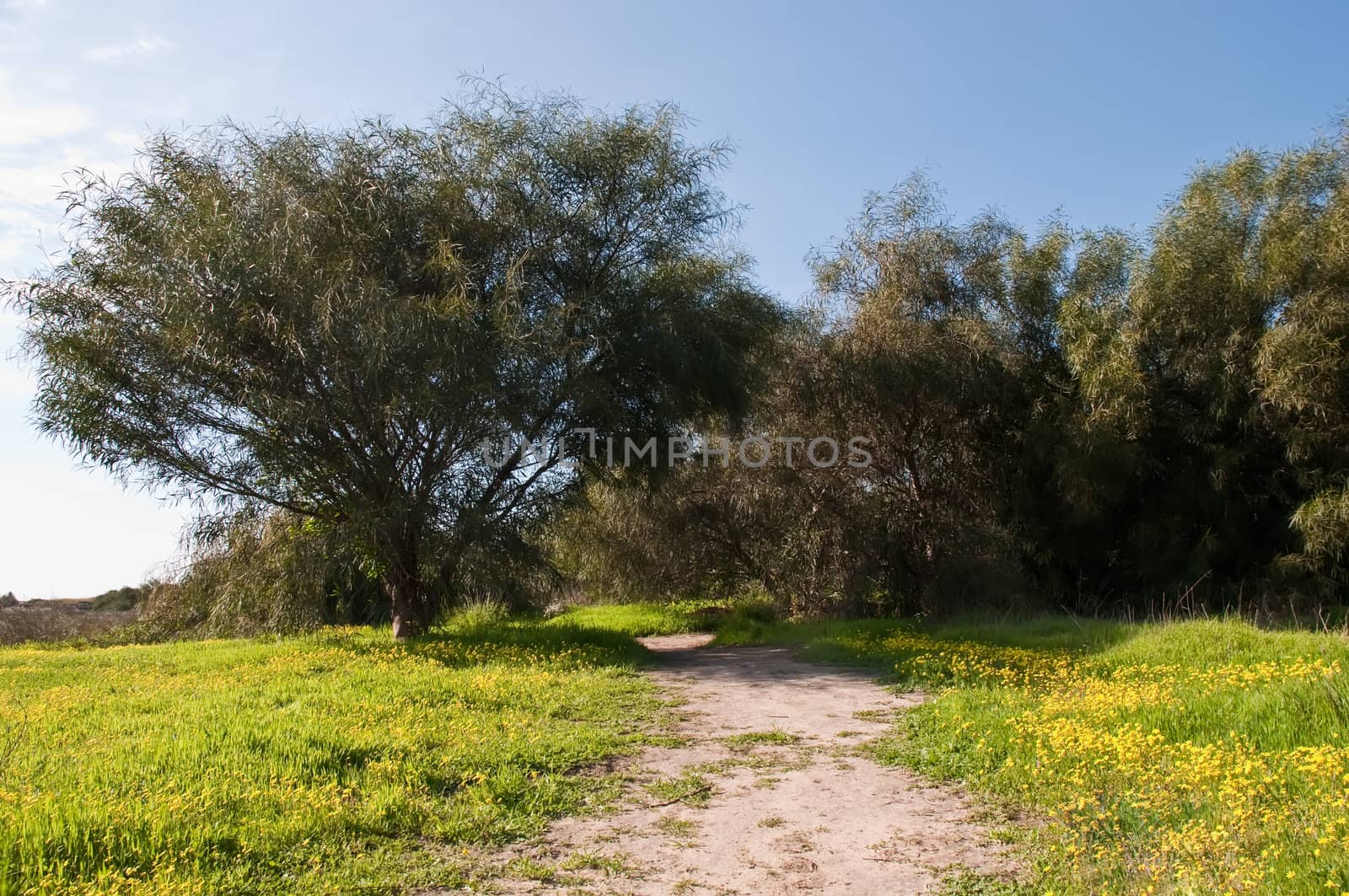 Israeli National Park in winter. Palmohim.