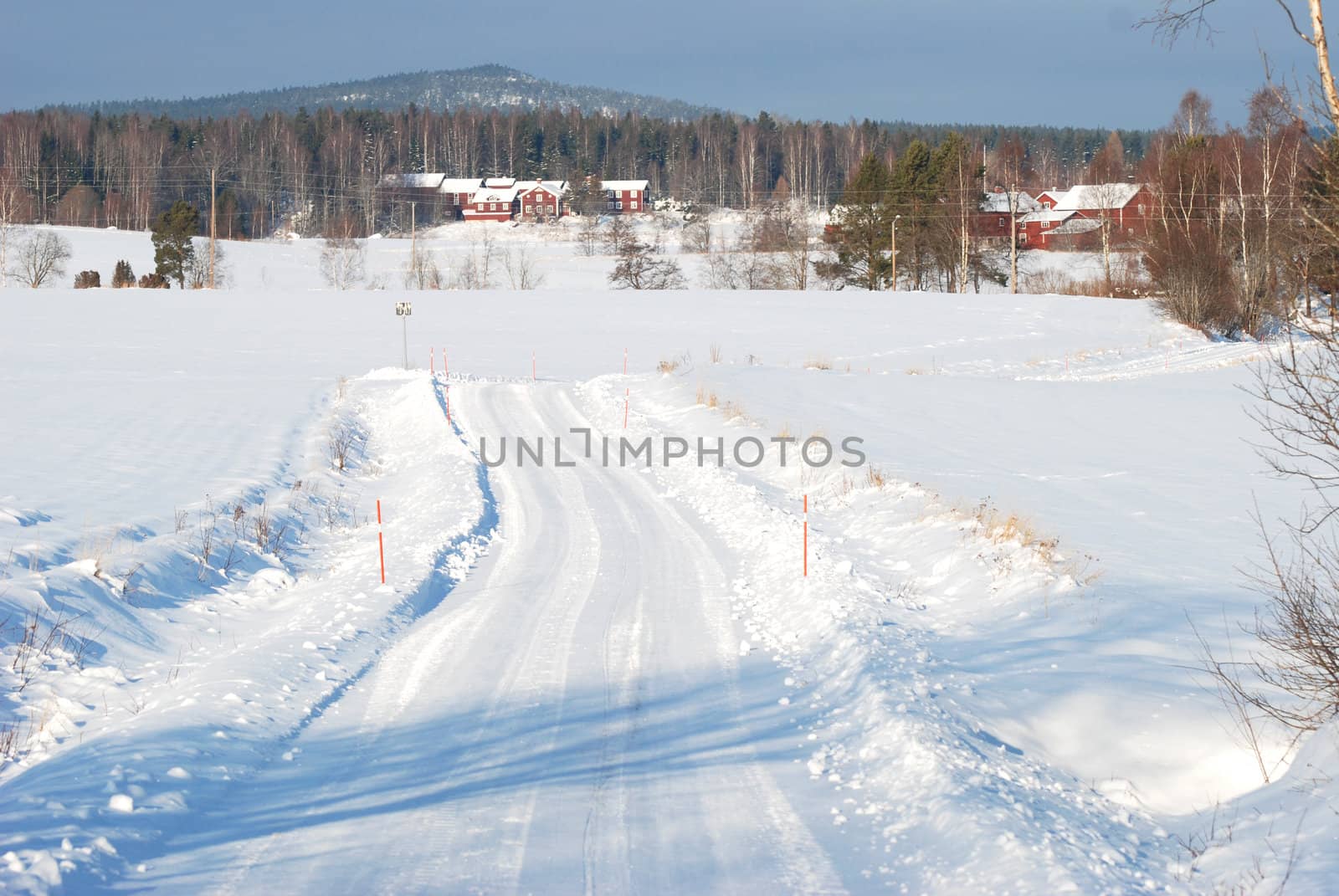 A winter road that leads through a winter landscape