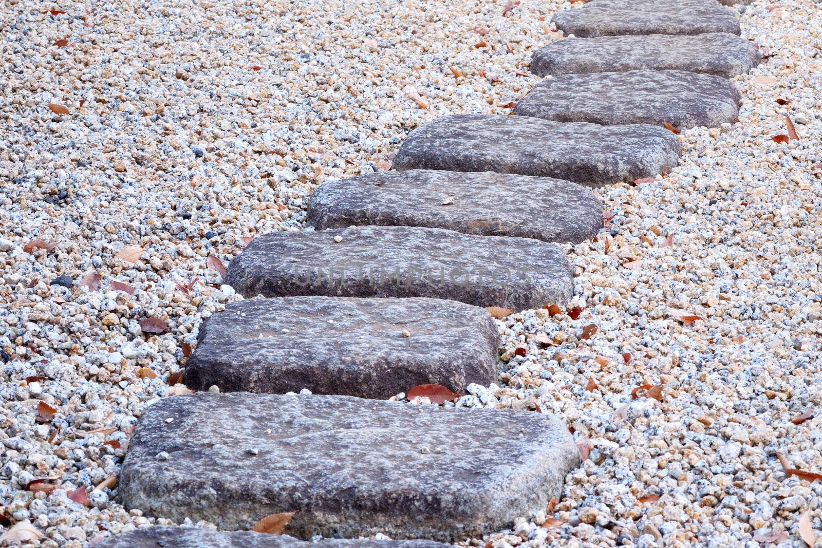 fragment of Japanese stone way in zen-garden, Tokyo Japan