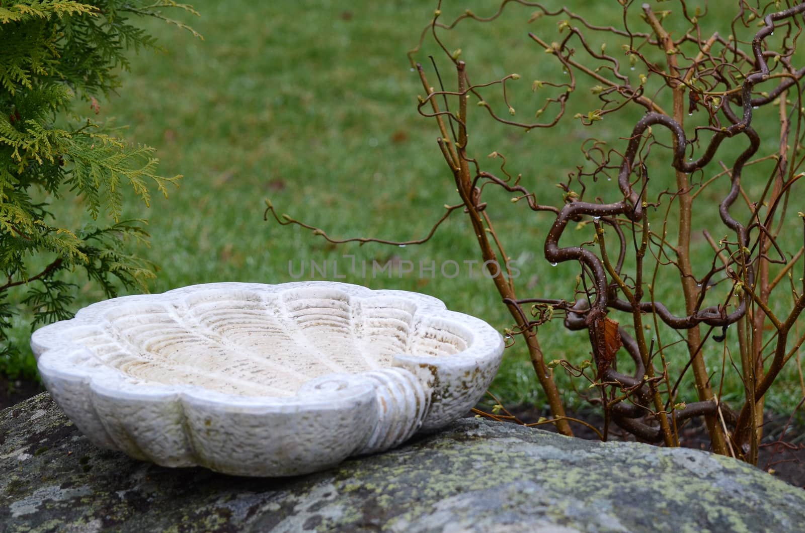 A bird bath in the garden