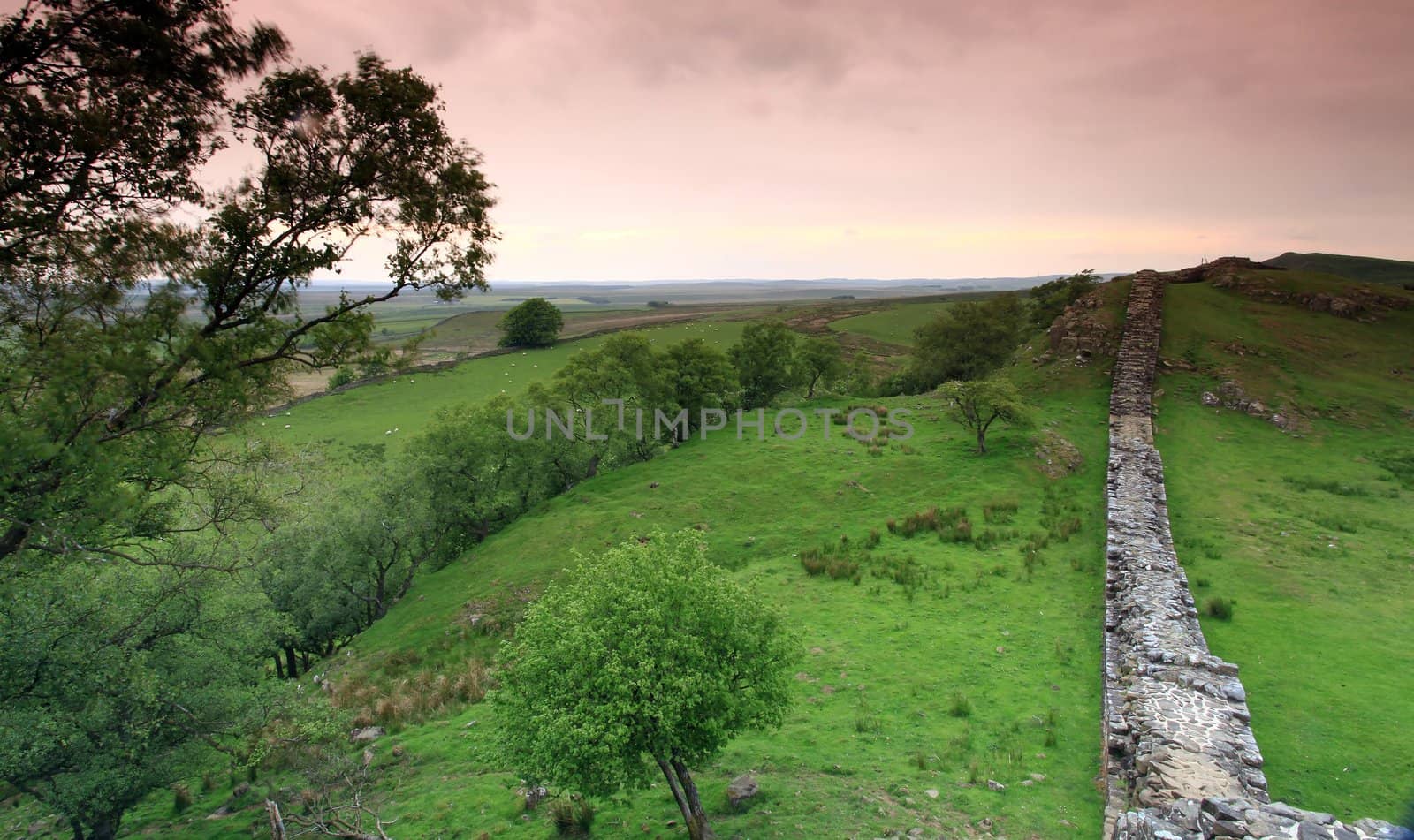 The ancient roman remains of hadrians wall on the english scotish boarder in the un ited kingdom