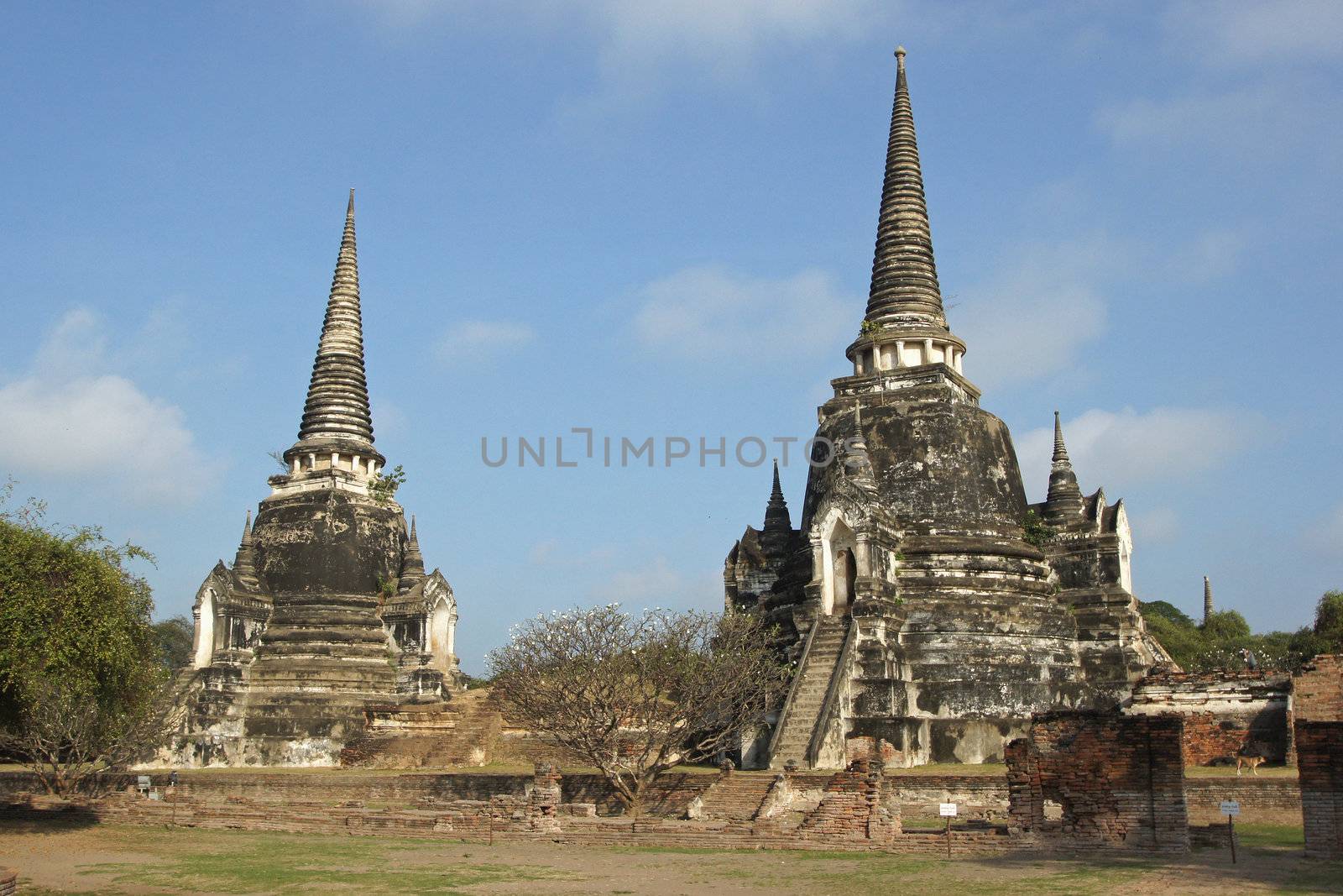 Wat Phra Si Sanphet, Ayutthaya, Thailand by alfotokunst