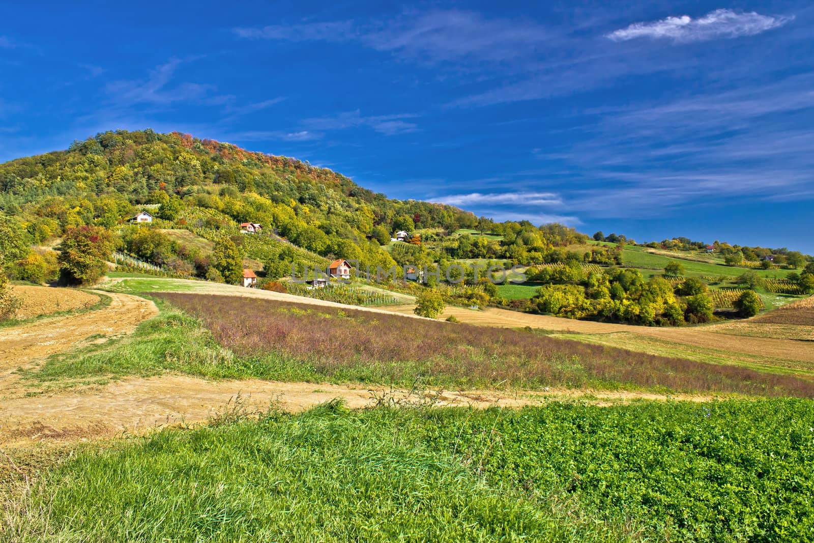 Beautiful green hill with vineyard cottages by xbrchx