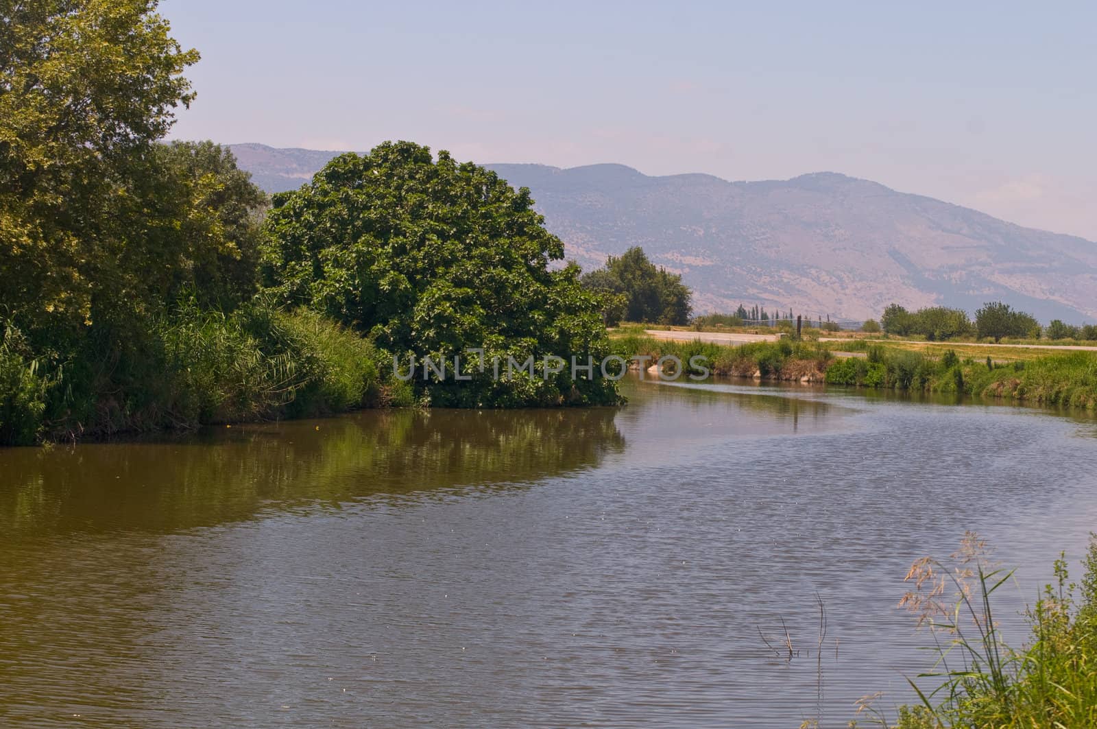 Beautiful view of mountain river in summer . North Israel.