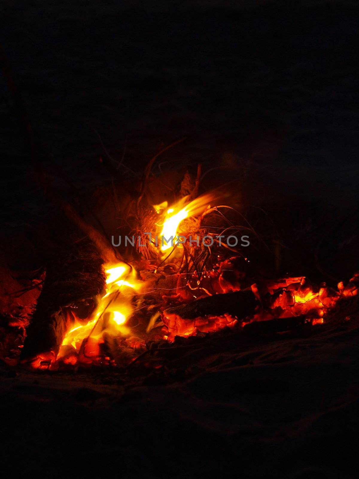Beach Campfire at Dusk by Frankljunior