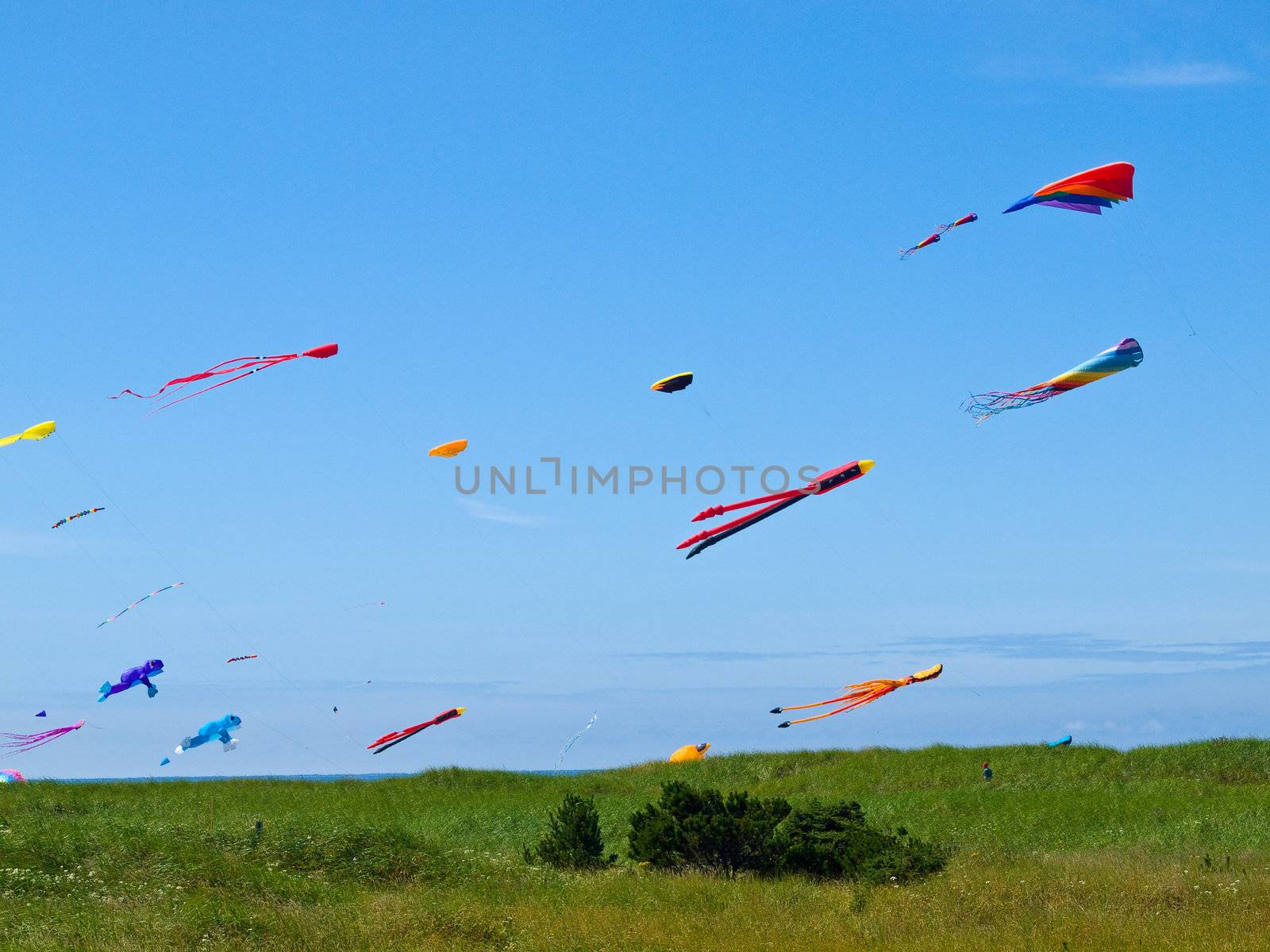 Various Colorful Kites Flying in a Bright Blue Sky by Frankljunior