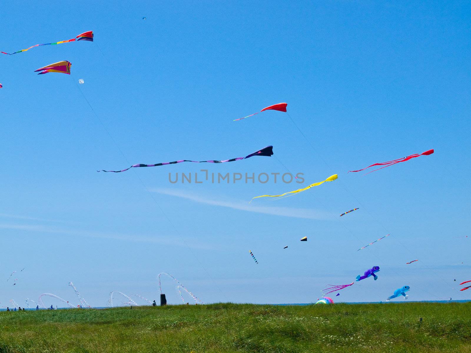 Various Colorful Kites Flying in a Bright Blue Sky by Frankljunior