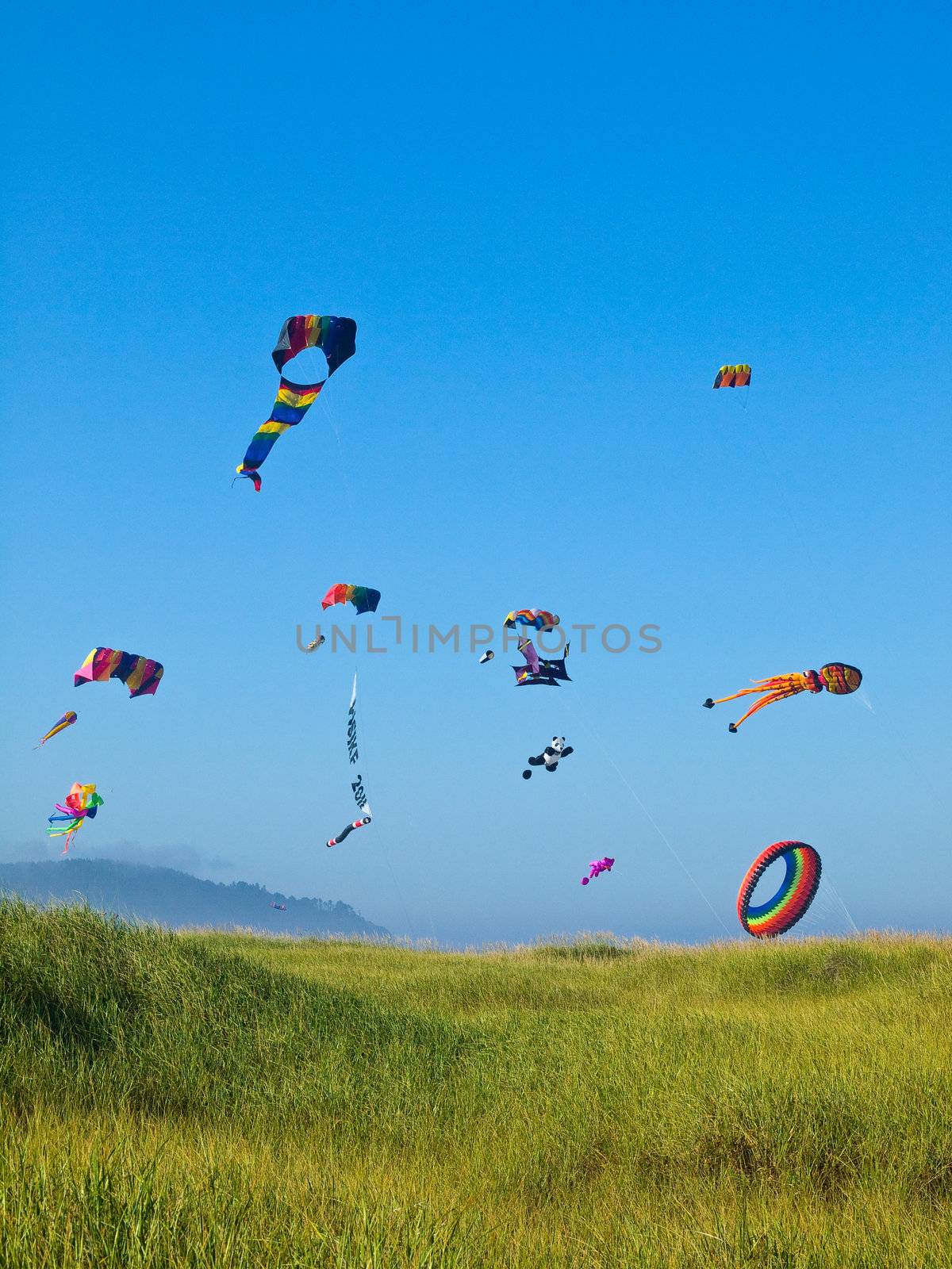 Various Colorful Kites Flying in a Bright Blue Sky by Frankljunior