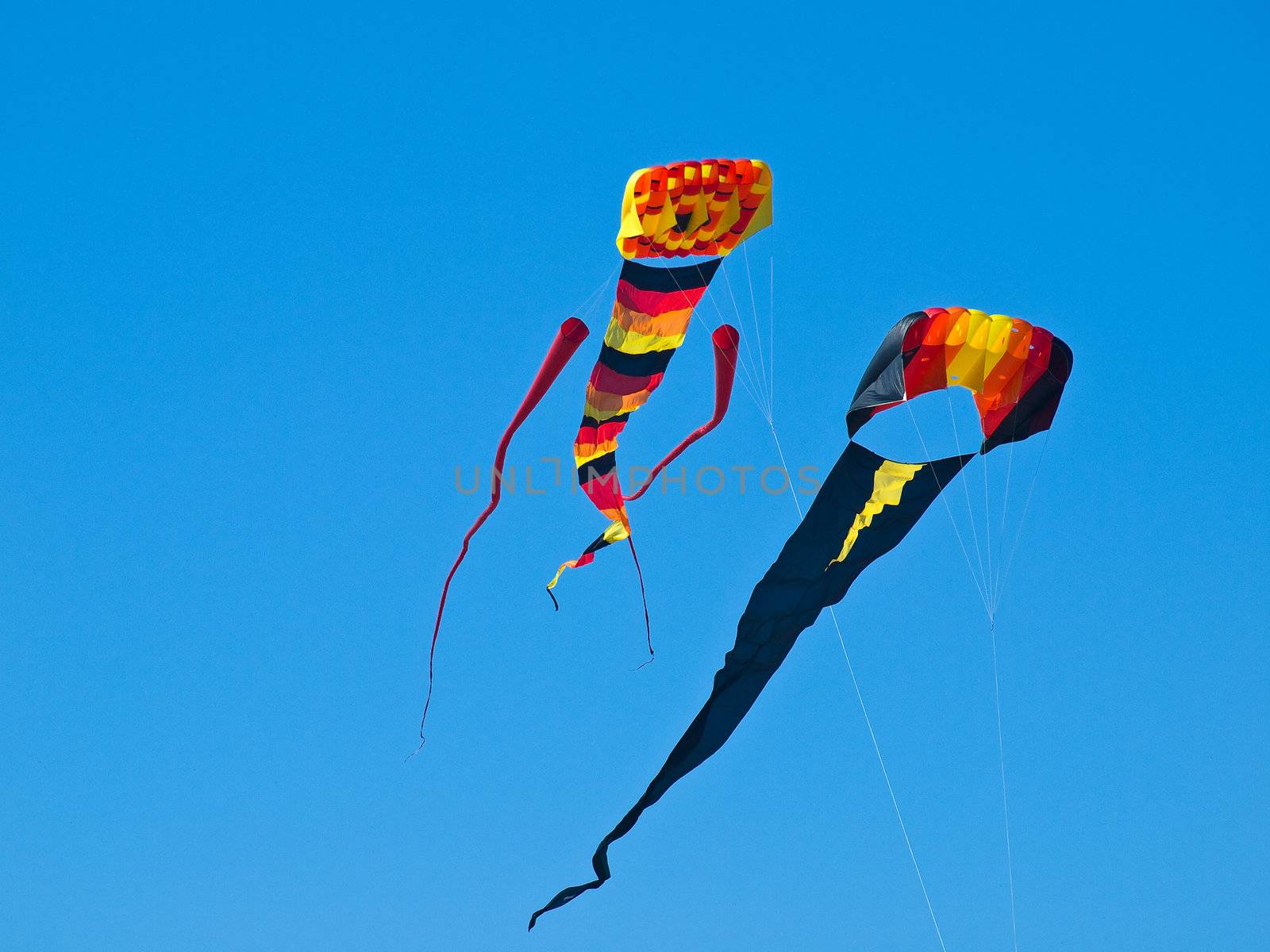 Various Colorful Kites Flying in a Bright Blue Sky by Frankljunior